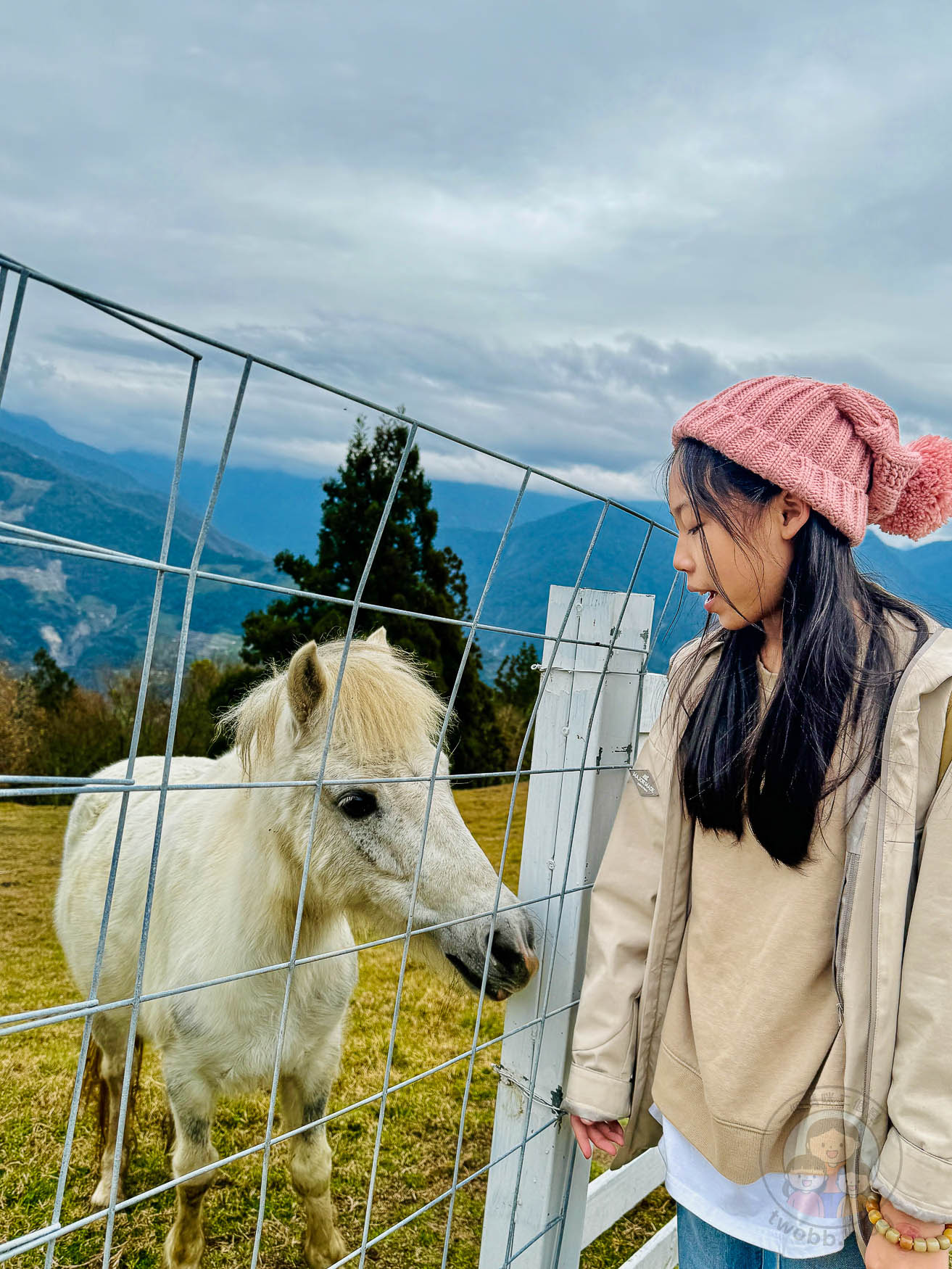 南投｜清境農場》台灣小瑞士，綿羊秀、馬術秀，還有高空景觀天空步道。