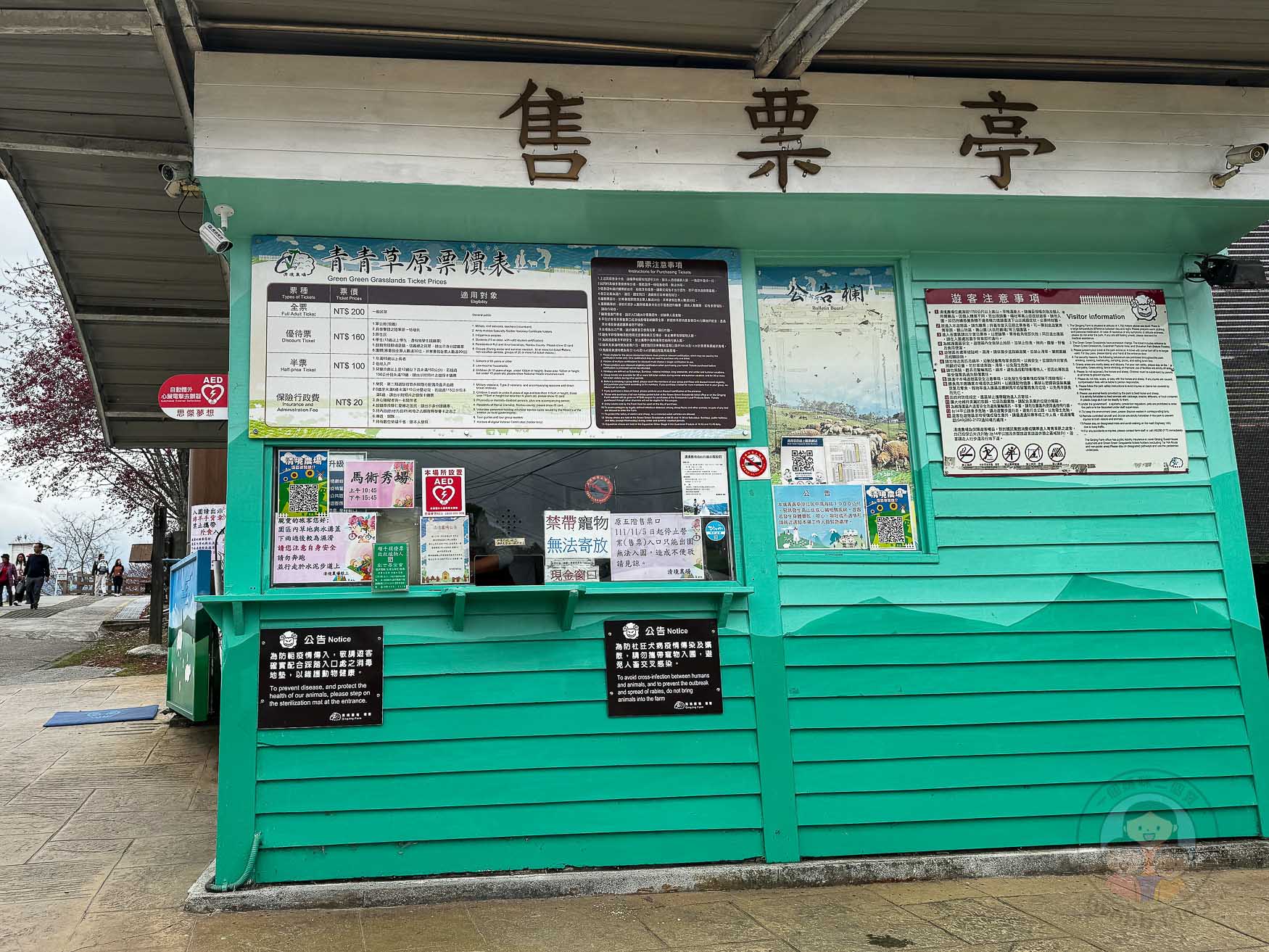 南投｜清境農場》台灣小瑞士，綿羊秀、馬術秀，還有高空景觀天空步道。