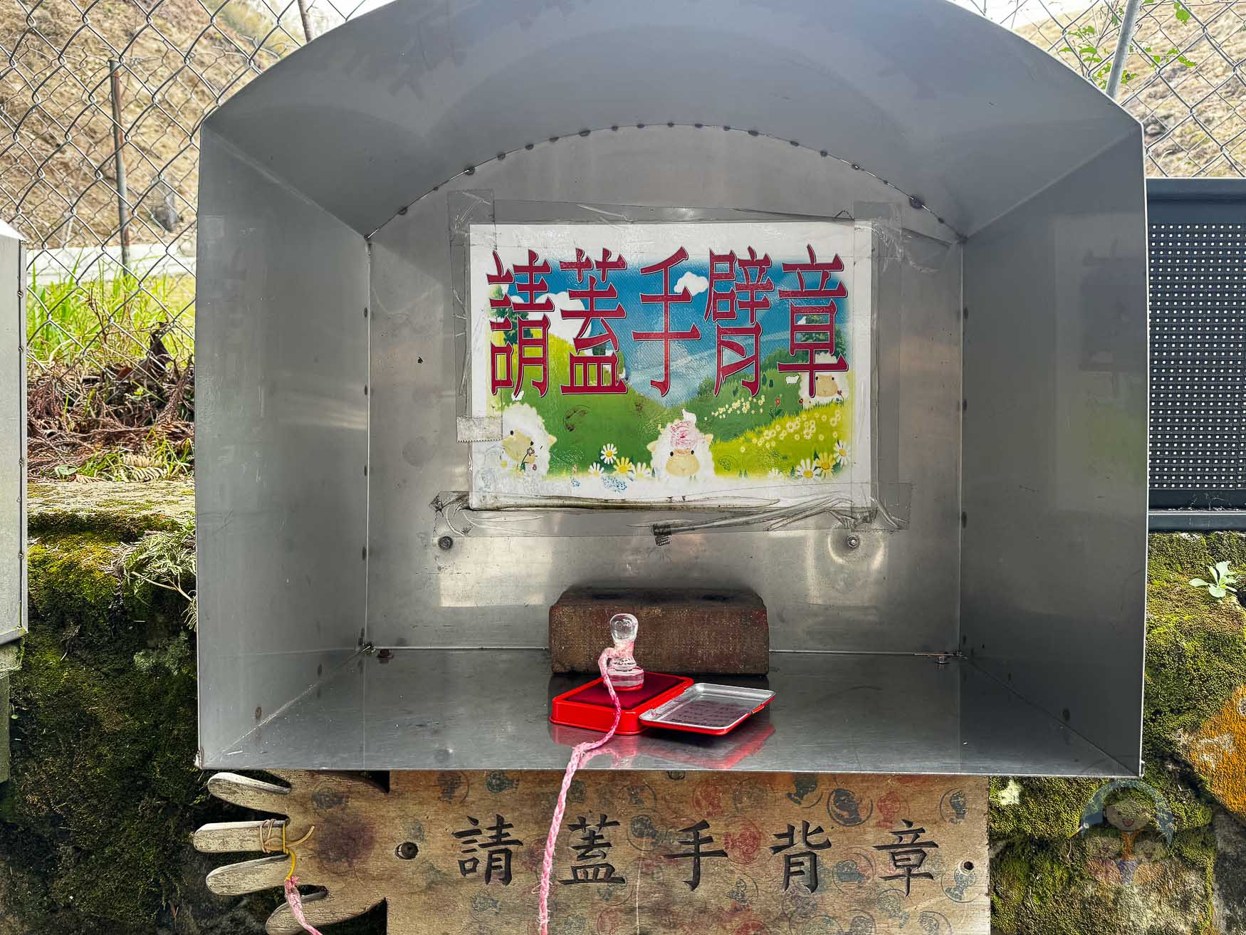 南投｜清境農場》台灣小瑞士，綿羊秀、馬術秀，還有高空景觀天空步道。