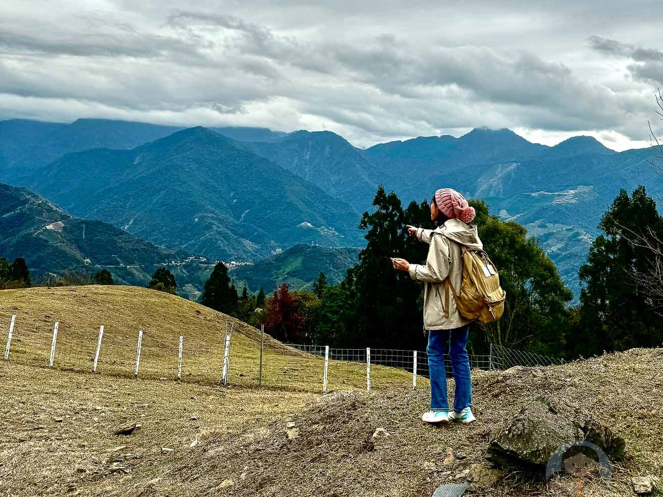 南投｜清境農場》台灣小瑞士，綿羊秀、馬術秀，還有高空景觀天空步道。