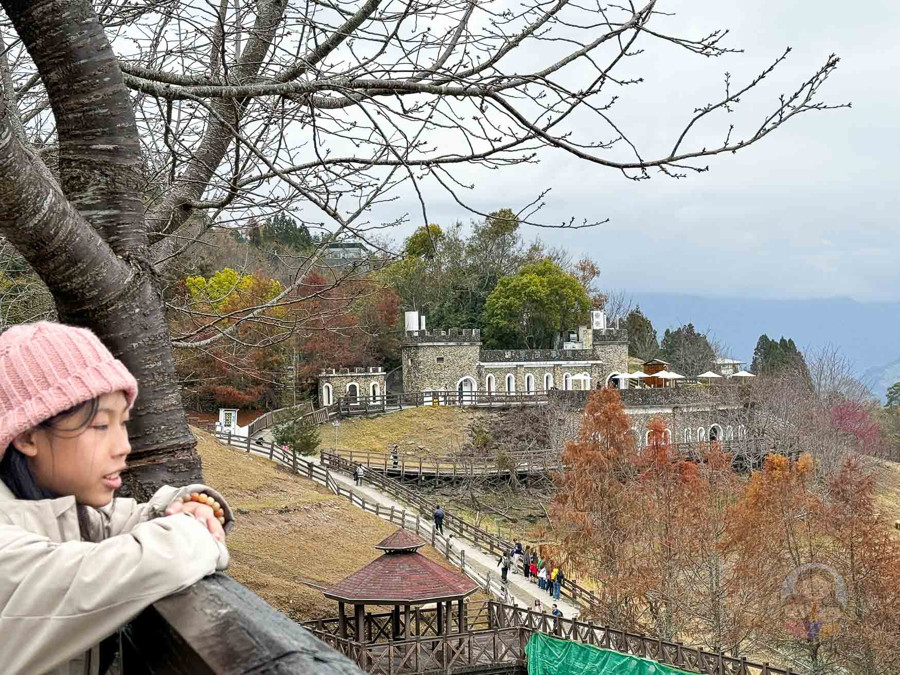 南投｜清境農場》台灣小瑞士，綿羊秀、馬術秀，還有高空景觀天空步道。