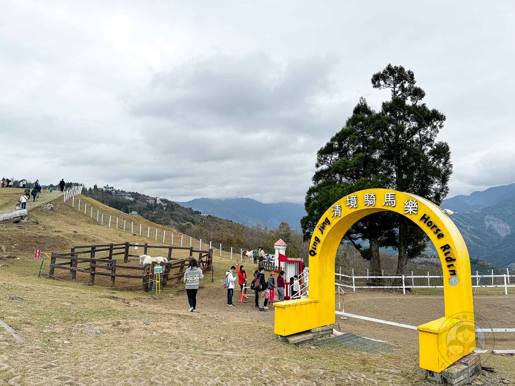 南投｜清境農場》台灣小瑞士，綿羊秀、馬術秀，還有高空景觀天空步道。