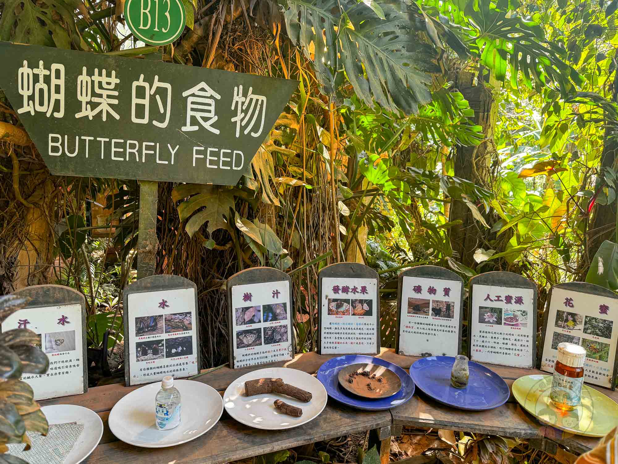 新竹｜綠世界生態農場 2025門票》亞洲最大的亞熱帶雨林生態園區、六大主題公園、草尼馬、可愛動物、落羽松夢幻步道。