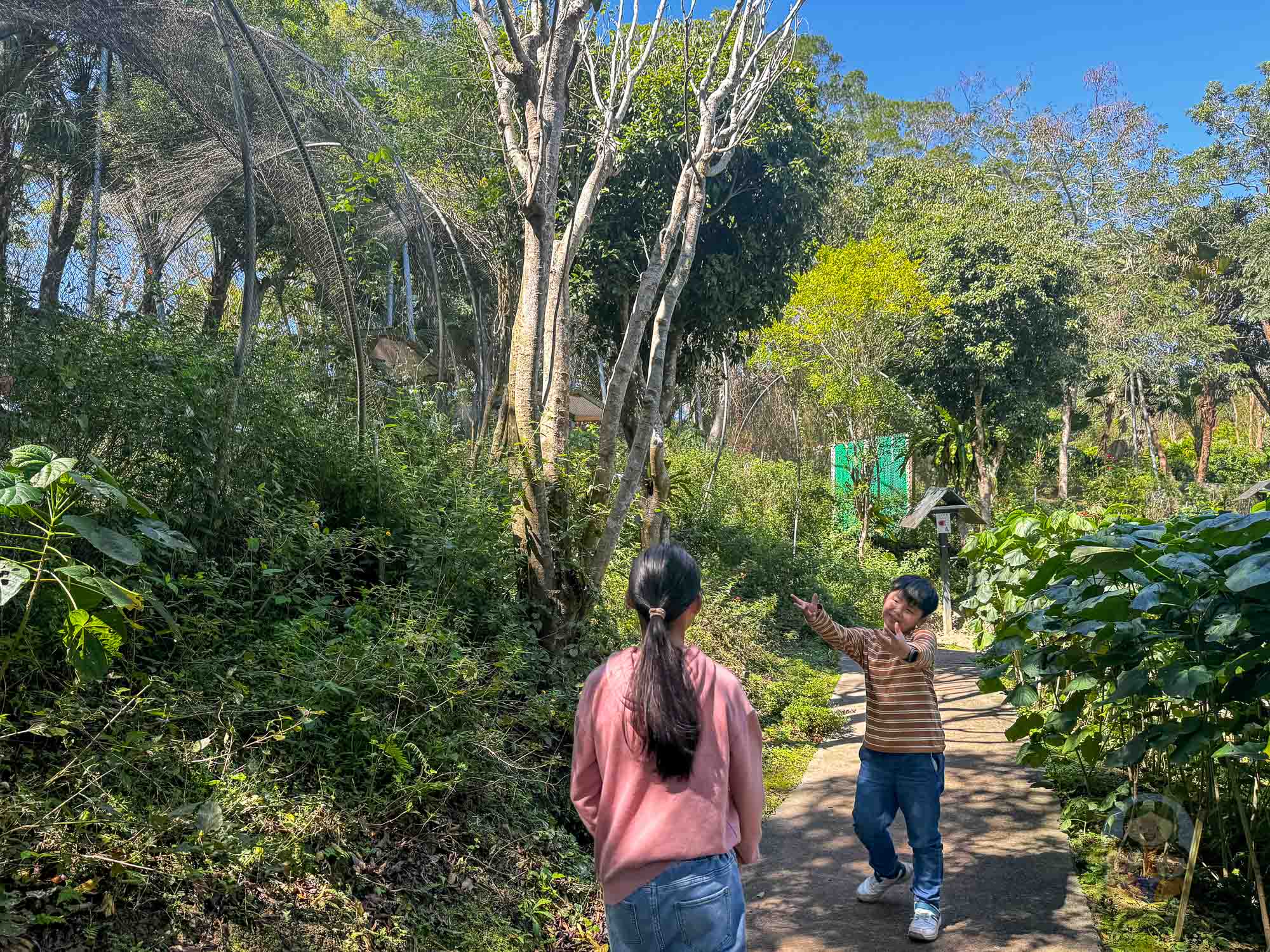 新竹｜綠世界生態農場 2025門票》亞洲最大的亞熱帶雨林生態園區、六大主題公園、草尼馬、可愛動物、落羽松夢幻步道。