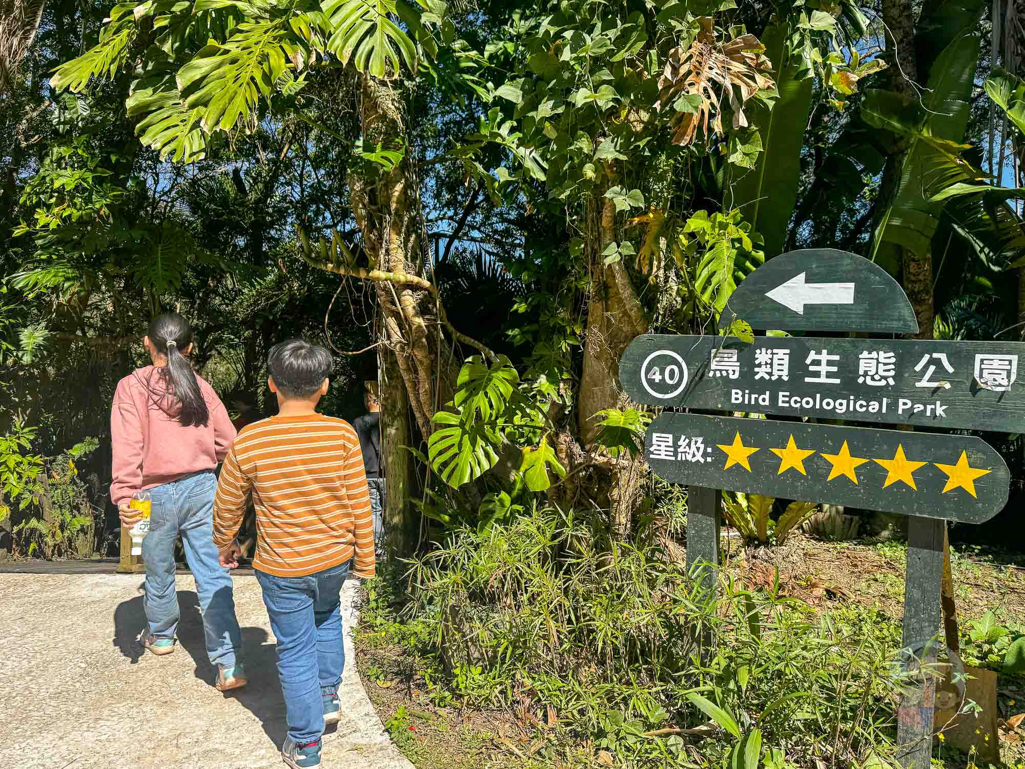 新竹｜綠世界生態農場 2025門票》亞洲最大的亞熱帶雨林生態園區、六大主題公園、草尼馬、可愛動物、落羽松夢幻步道。