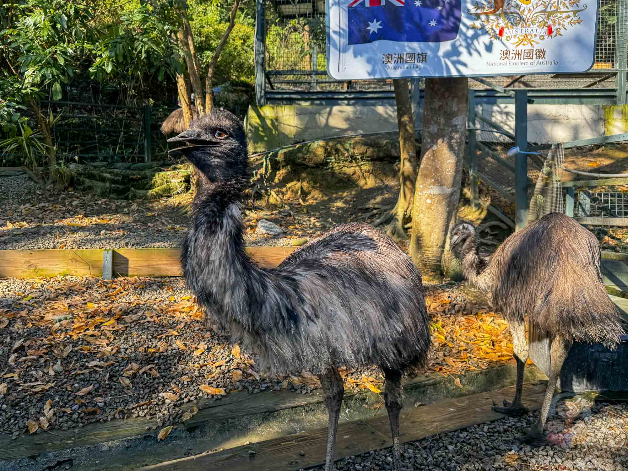 新竹｜綠世界生態農場 2025門票》亞洲最大的亞熱帶雨林生態園區、六大主題公園、草尼馬、可愛動物、落羽松夢幻步道。