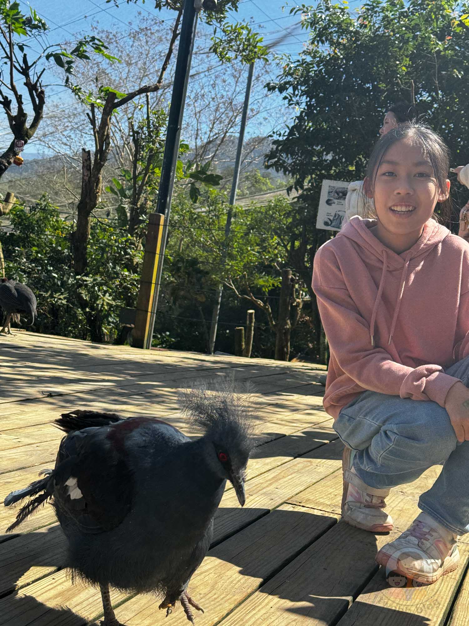 新竹｜綠世界生態農場 2025門票》亞洲最大的亞熱帶雨林生態園區、六大主題公園、草尼馬、可愛動物、落羽松夢幻步道。