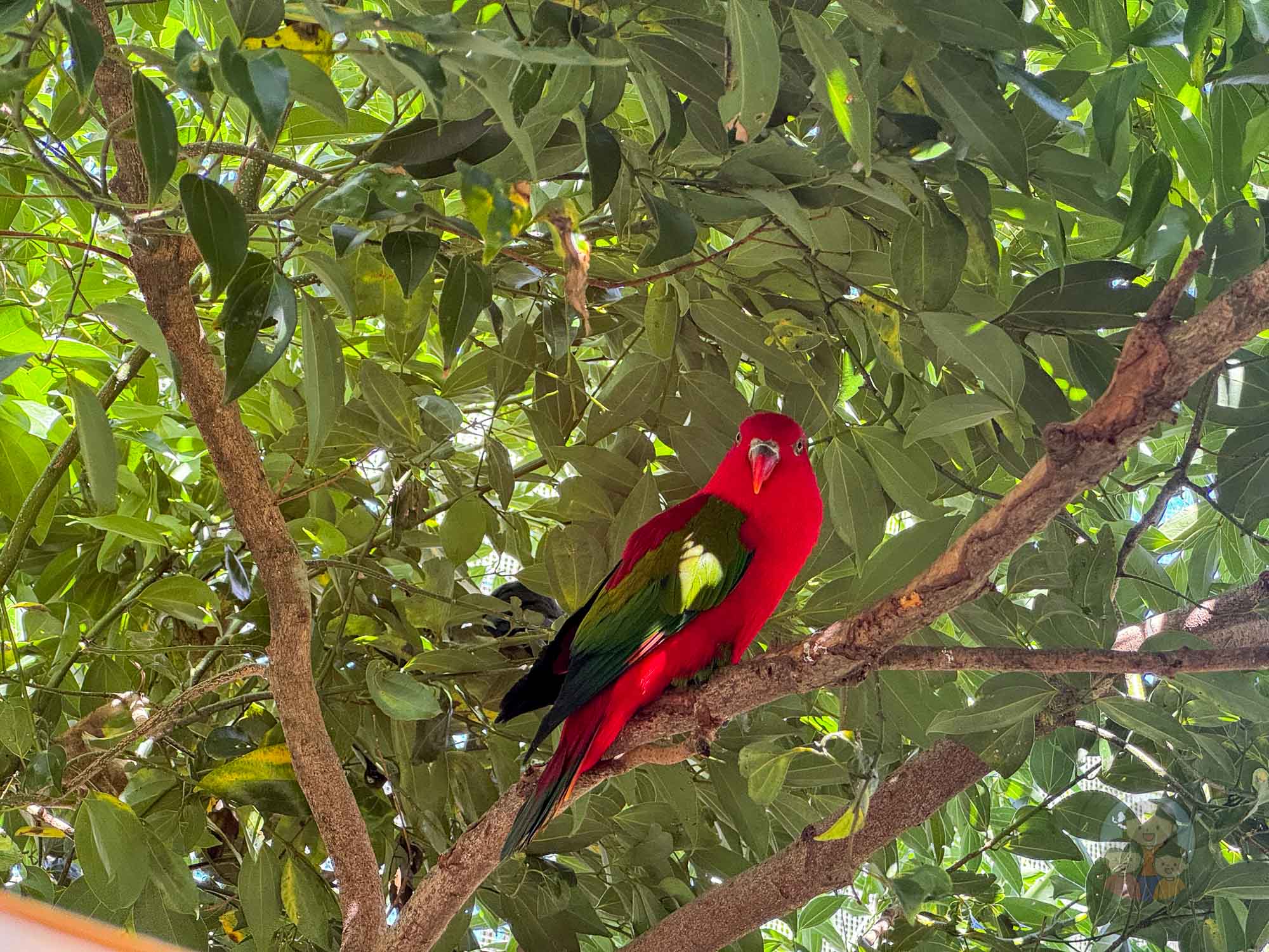 新竹｜綠世界生態農場 2025門票》亞洲最大的亞熱帶雨林生態園區、六大主題公園、草尼馬、可愛動物、落羽松夢幻步道。