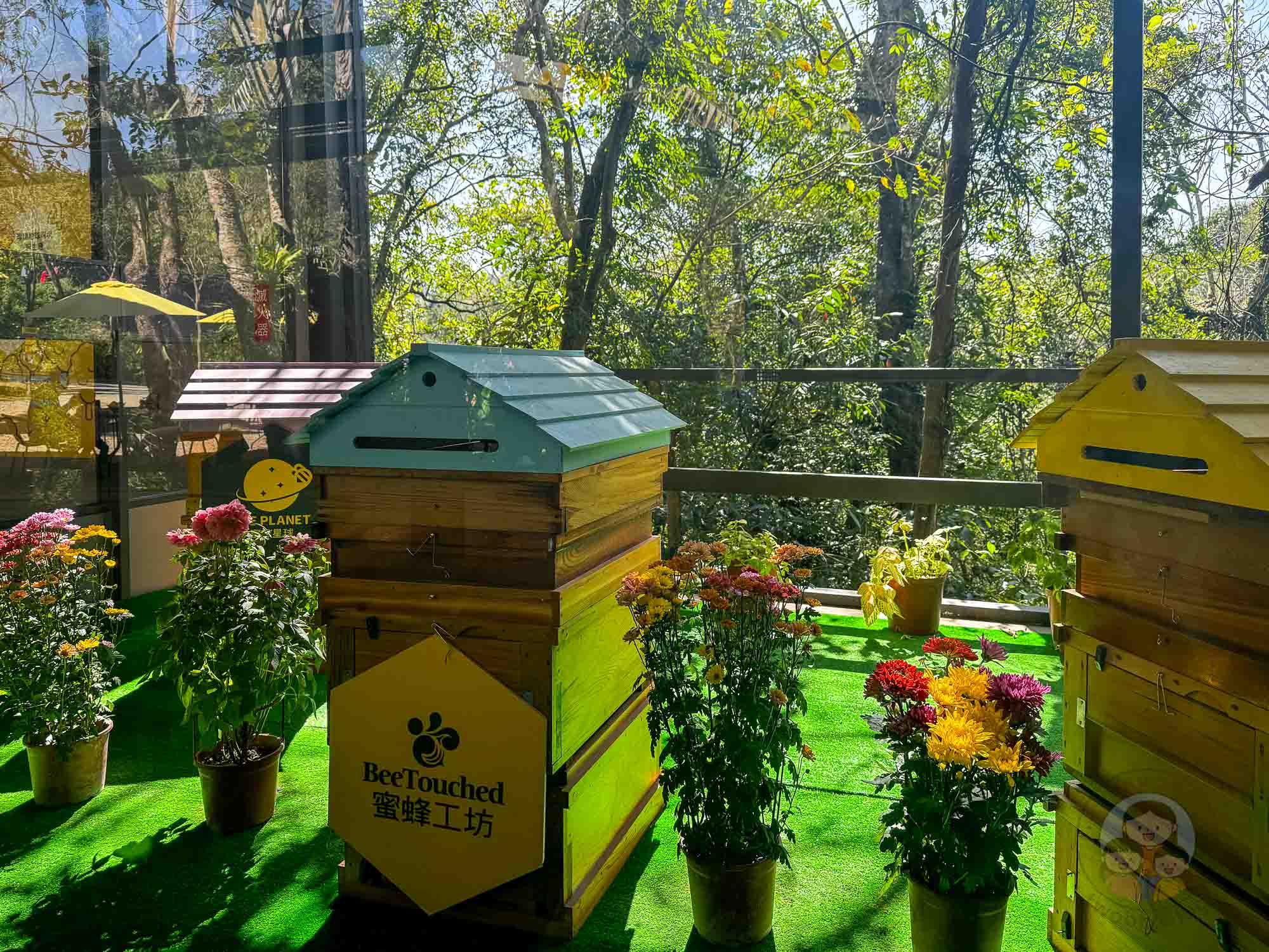 新竹｜綠世界生態農場 2025門票》亞洲最大的亞熱帶雨林生態園區、六大主題公園、草尼馬、可愛動物、落羽松夢幻步道。