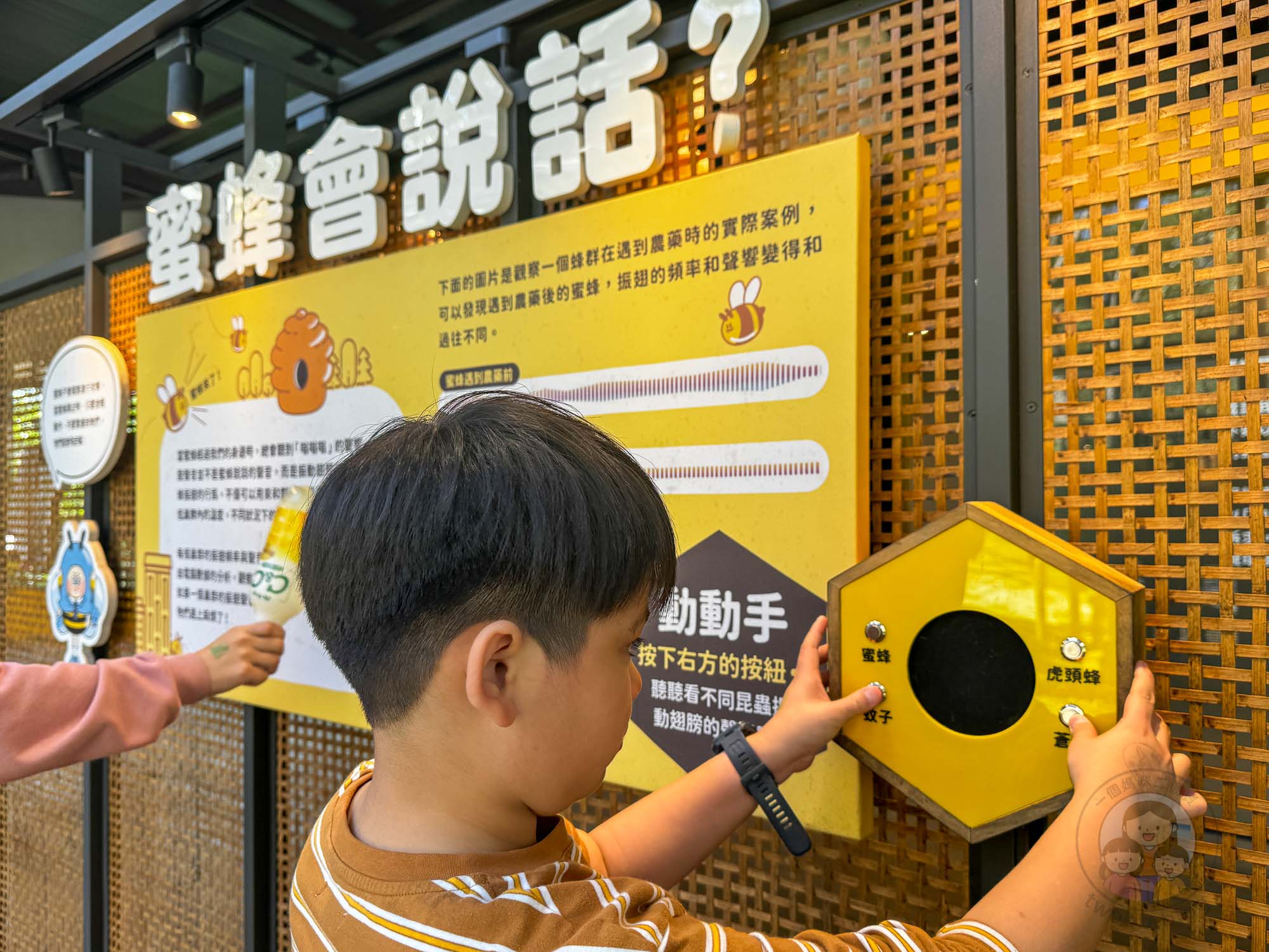 新竹｜綠世界生態農場 2025門票》亞洲最大的亞熱帶雨林生態園區、六大主題公園、草尼馬、可愛動物、落羽松夢幻步道。