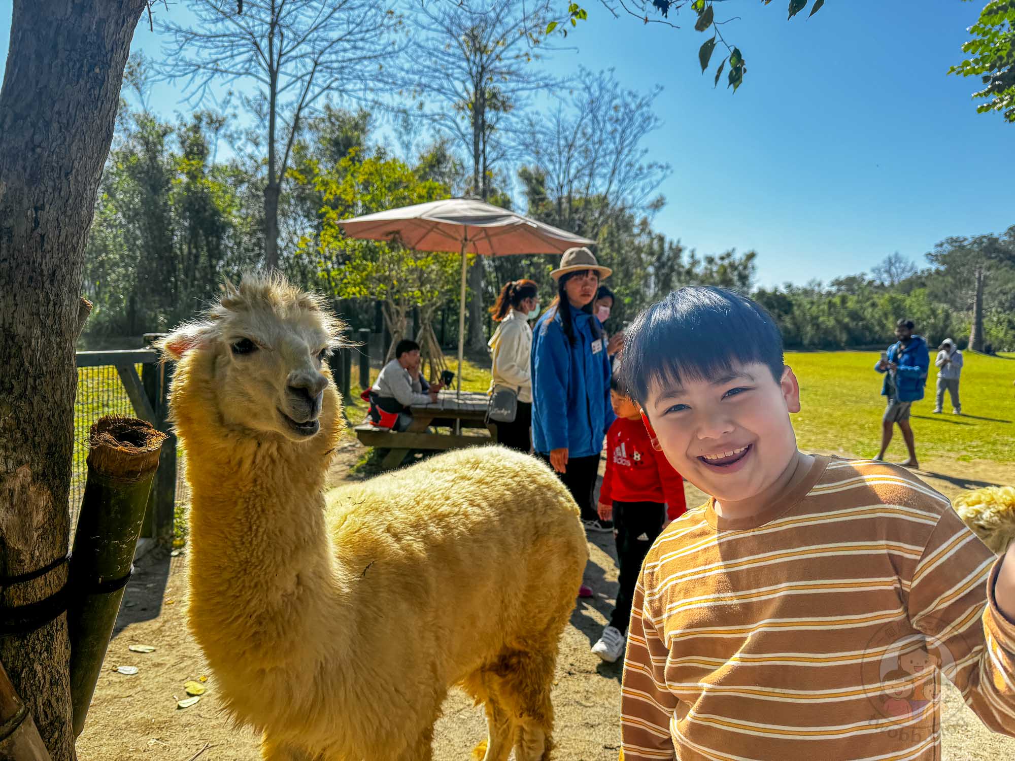新竹｜綠世界生態農場 2025門票》亞洲最大的亞熱帶雨林生態園區、六大主題公園、草尼馬、可愛動物、落羽松夢幻步道。