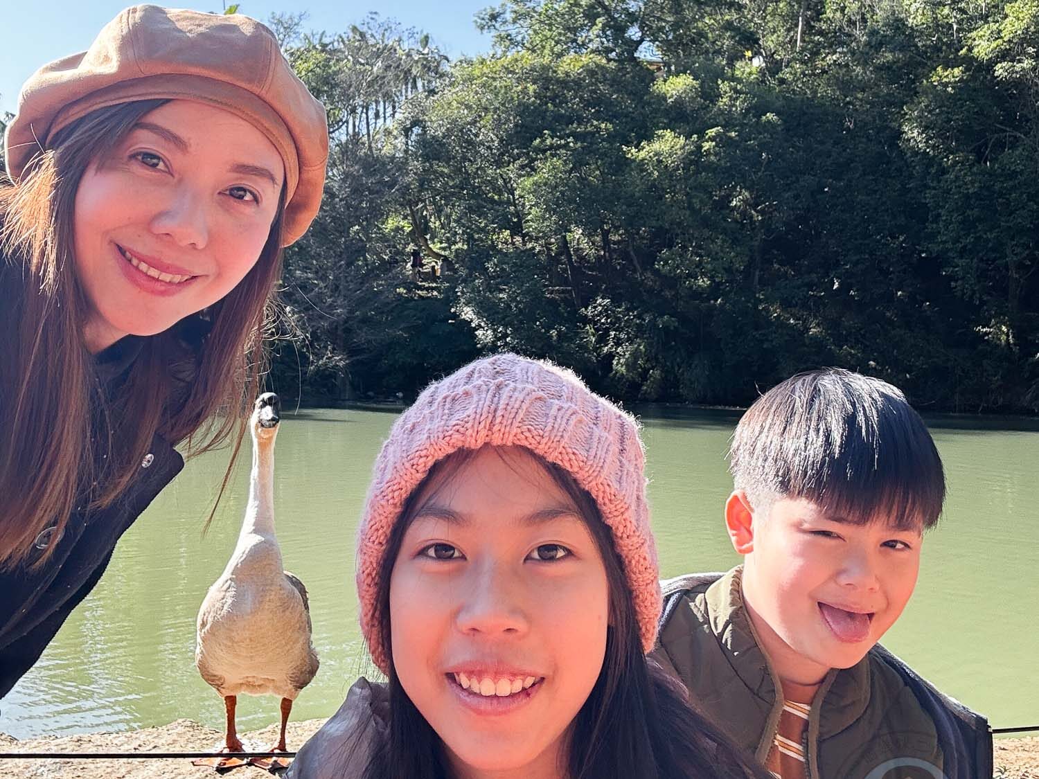 新竹｜綠世界生態農場 2025門票》亞洲最大的亞熱帶雨林生態園區、六大主題公園、草尼馬、可愛動物、落羽松夢幻步道。