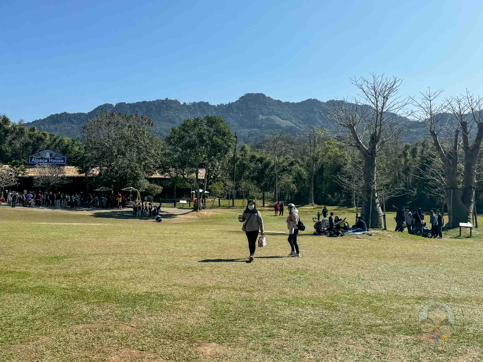 新竹｜綠世界生態農場 2025門票》亞洲最大的亞熱帶雨林生態園區、六大主題公園、草尼馬、可愛動物、落羽松夢幻步道。