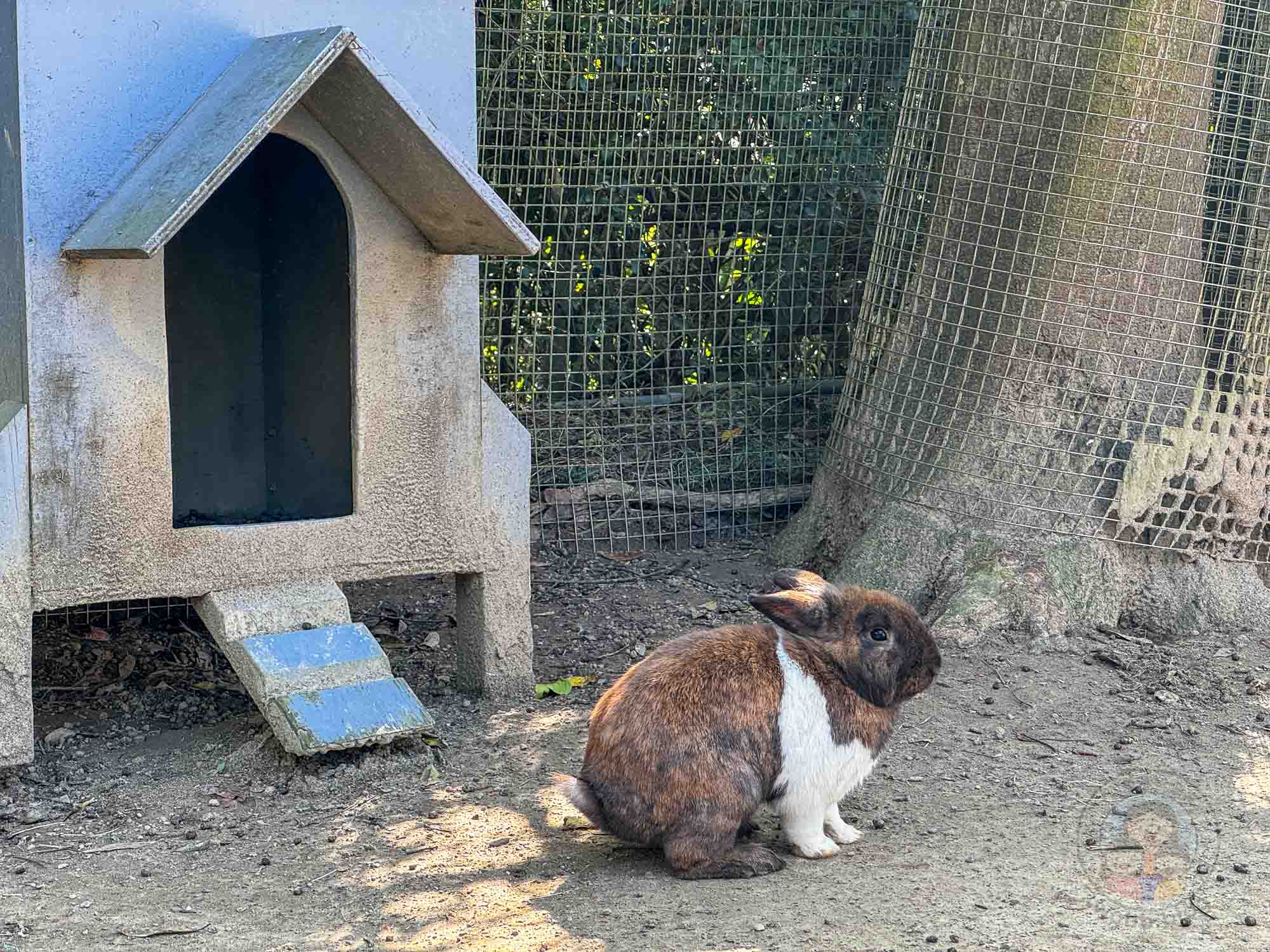 新竹｜綠世界生態農場 2025門票》亞洲最大的亞熱帶雨林生態園區、六大主題公園、草尼馬、可愛動物、落羽松夢幻步道。