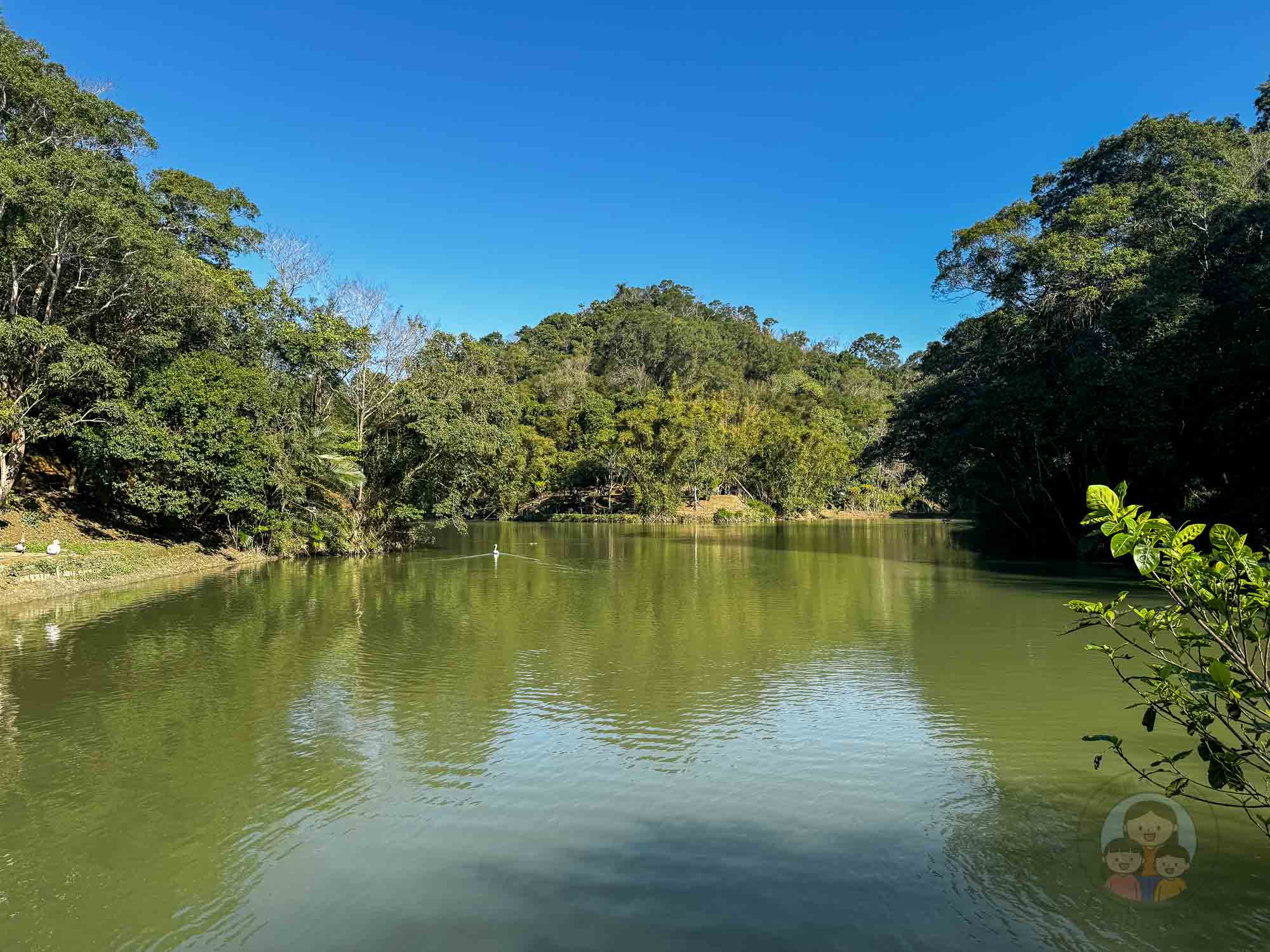 新竹｜綠世界生態農場 2025門票》亞洲最大的亞熱帶雨林生態園區、六大主題公園、草尼馬、可愛動物、落羽松夢幻步道。