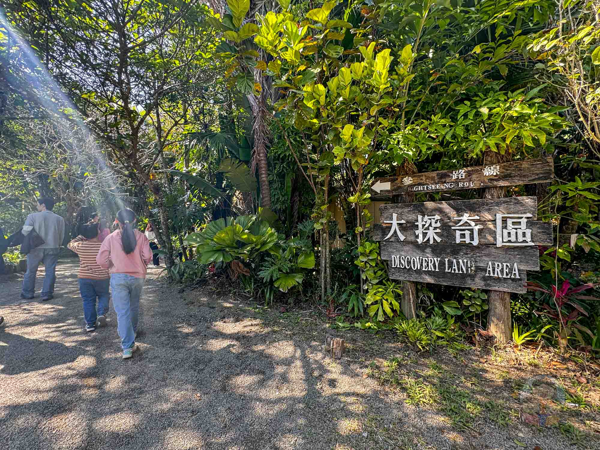 新竹｜綠世界生態農場 2025門票》亞洲最大的亞熱帶雨林生態園區、六大主題公園、草尼馬、可愛動物、落羽松夢幻步道。
