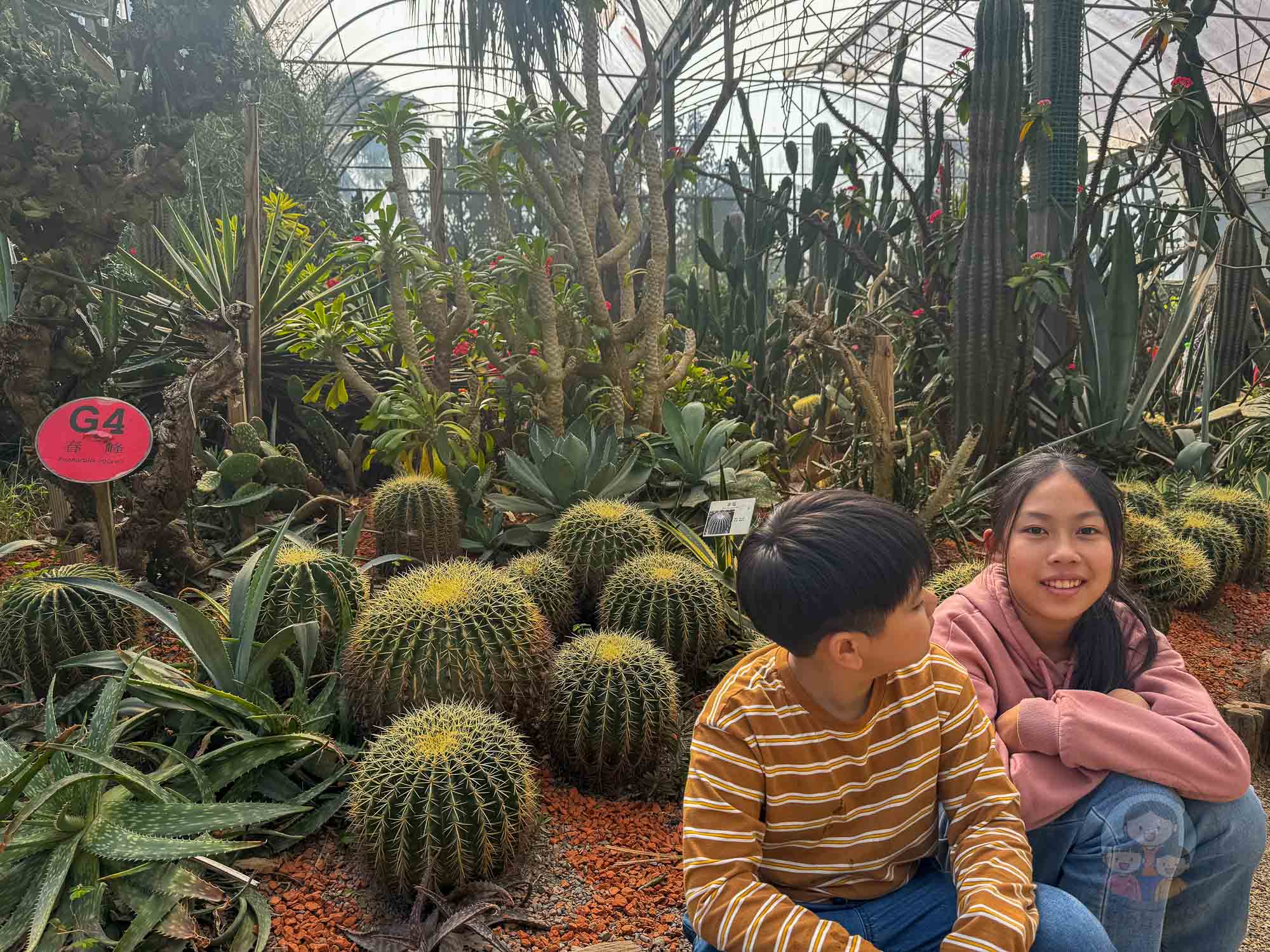 新竹｜綠世界生態農場 2025門票》亞洲最大的亞熱帶雨林生態園區、六大主題公園、草尼馬、可愛動物、落羽松夢幻步道。