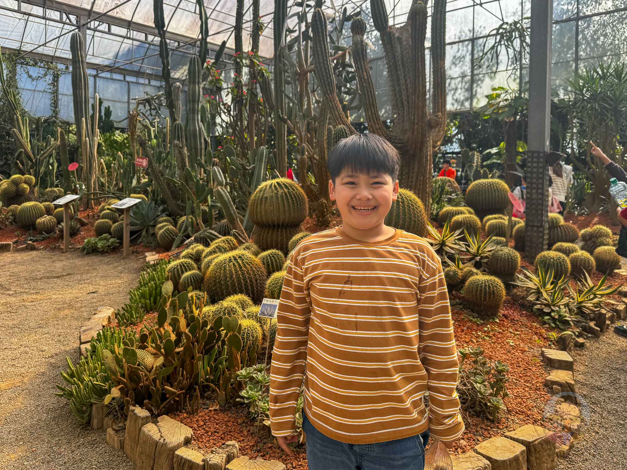 新竹｜綠世界生態農場 2025門票》亞洲最大的亞熱帶雨林生態園區、六大主題公園、草尼馬、可愛動物、落羽松夢幻步道。