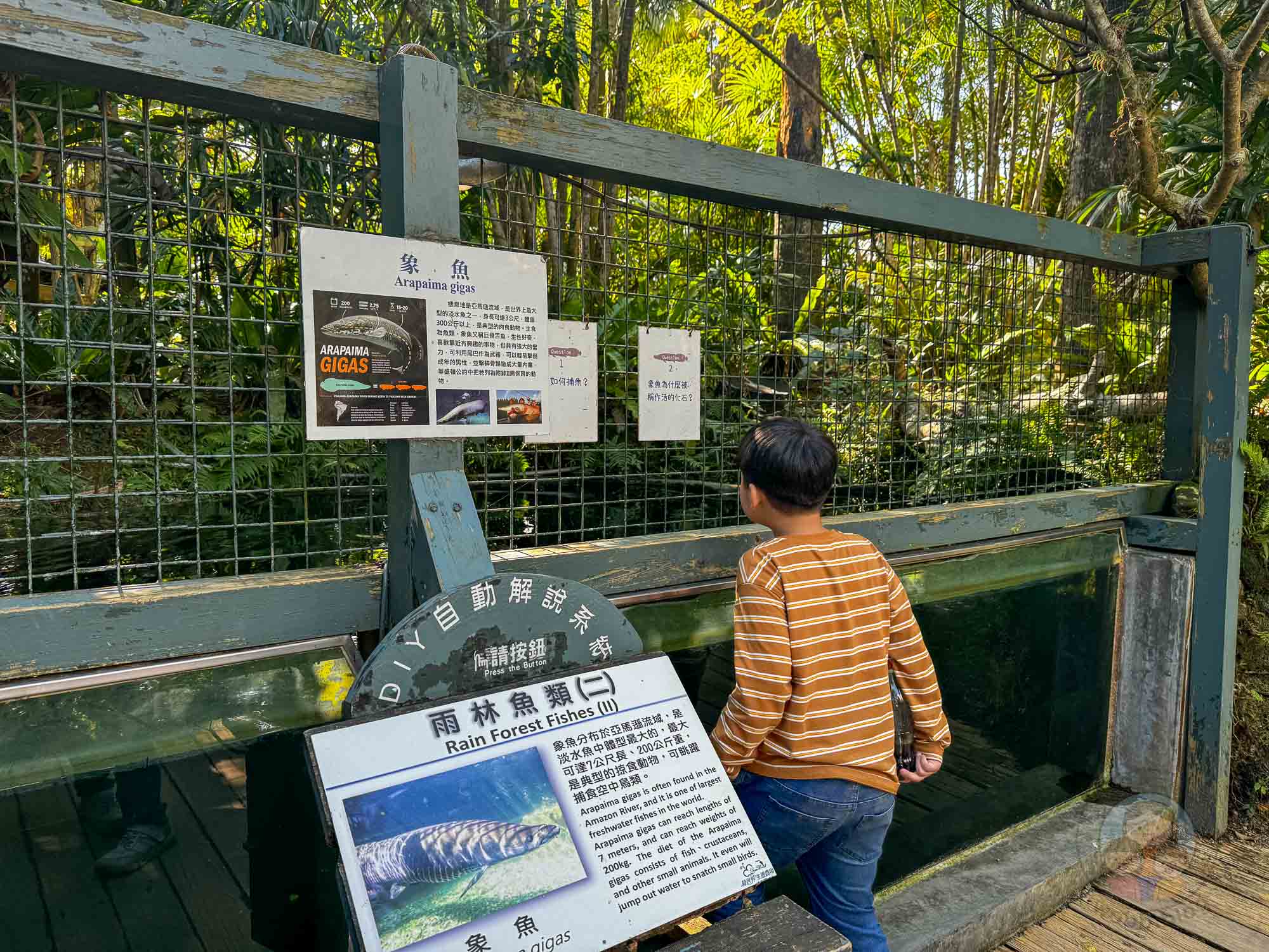 新竹｜綠世界生態農場 2025門票》亞洲最大的亞熱帶雨林生態園區、六大主題公園、草尼馬、可愛動物、落羽松夢幻步道。