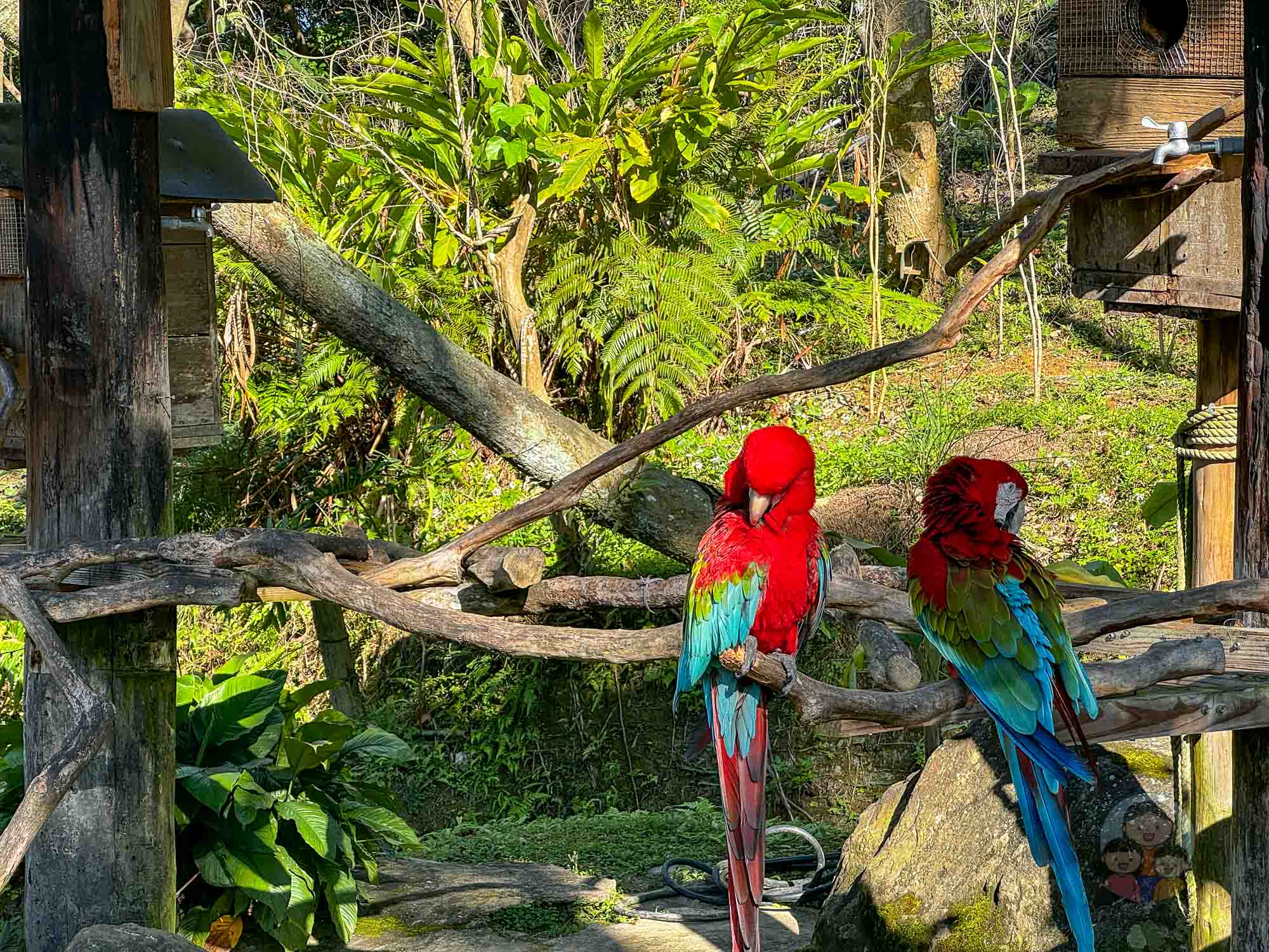 新竹｜綠世界生態農場 2025門票》亞洲最大的亞熱帶雨林生態園區、六大主題公園、草尼馬、可愛動物、落羽松夢幻步道。