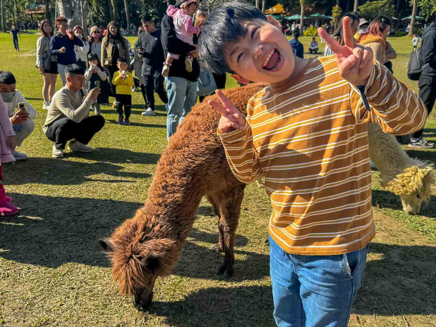 新竹｜綠世界生態農場 2025門票》亞洲最大的亞熱帶雨林生態園區、六大主題公園、草尼馬、可愛動物、落羽松夢幻步道。