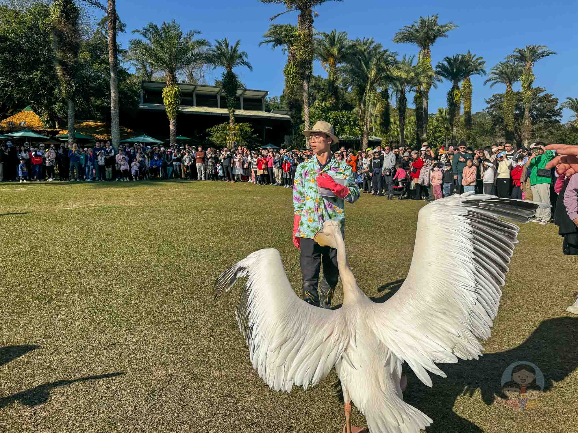 新竹｜綠世界生態農場 2025門票》亞洲最大的亞熱帶雨林生態園區、六大主題公園、草尼馬、可愛動物、落羽松夢幻步道。