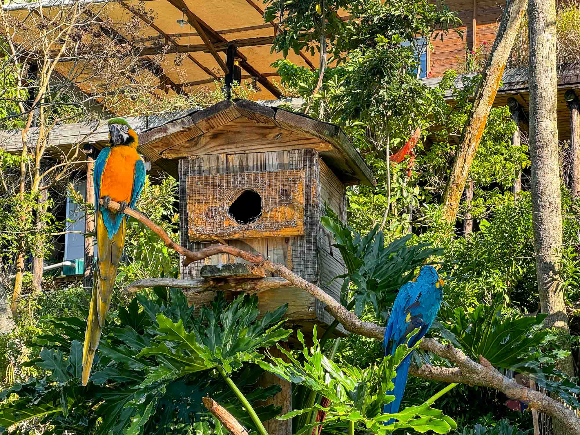 新竹｜綠世界生態農場 2025門票》亞洲最大的亞熱帶雨林生態園區、六大主題公園、草尼馬、可愛動物、落羽松夢幻步道。