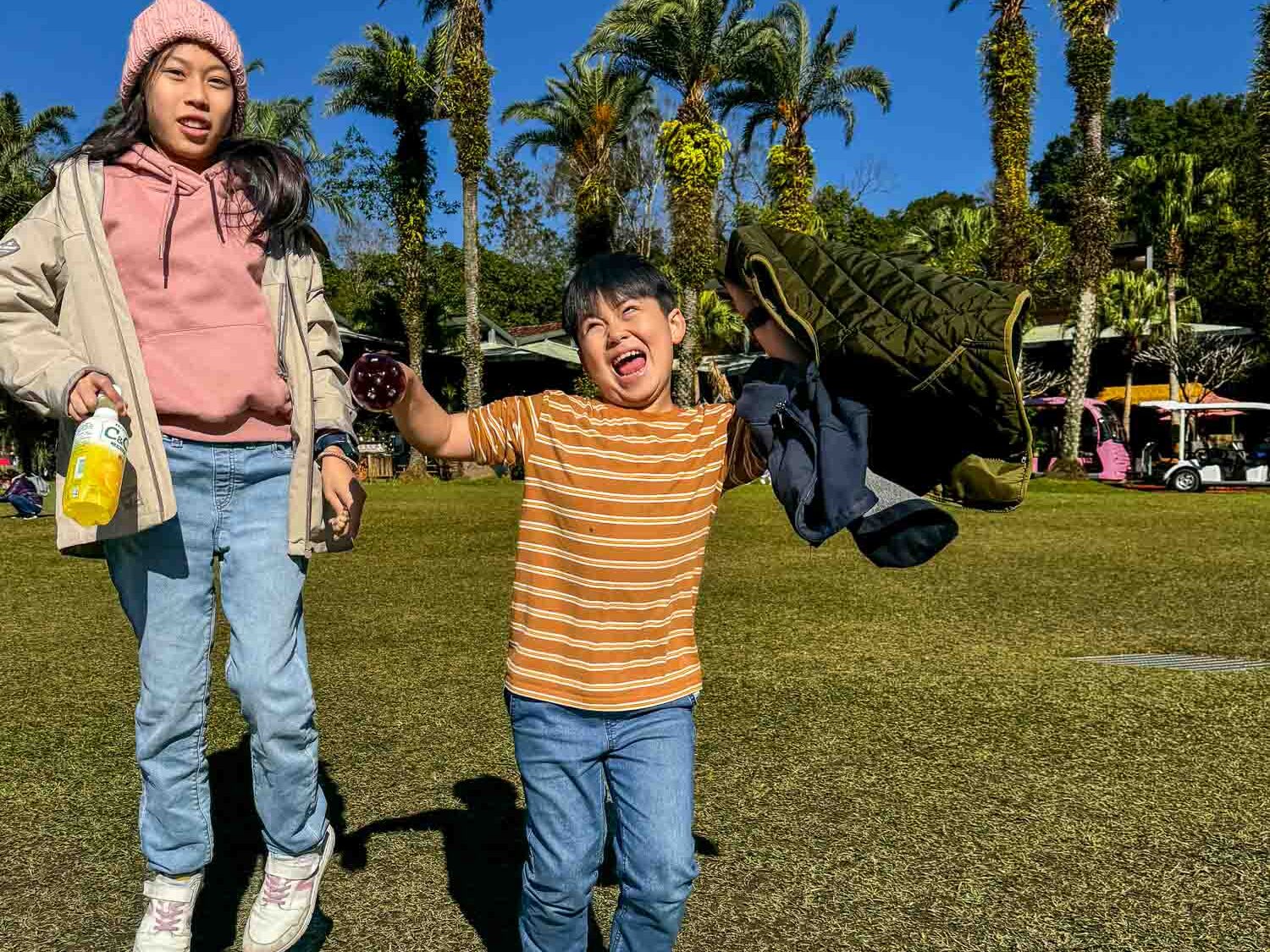 新竹｜綠世界生態農場 2025門票》亞洲最大的亞熱帶雨林生態園區、六大主題公園、草尼馬、可愛動物、落羽松夢幻步道。