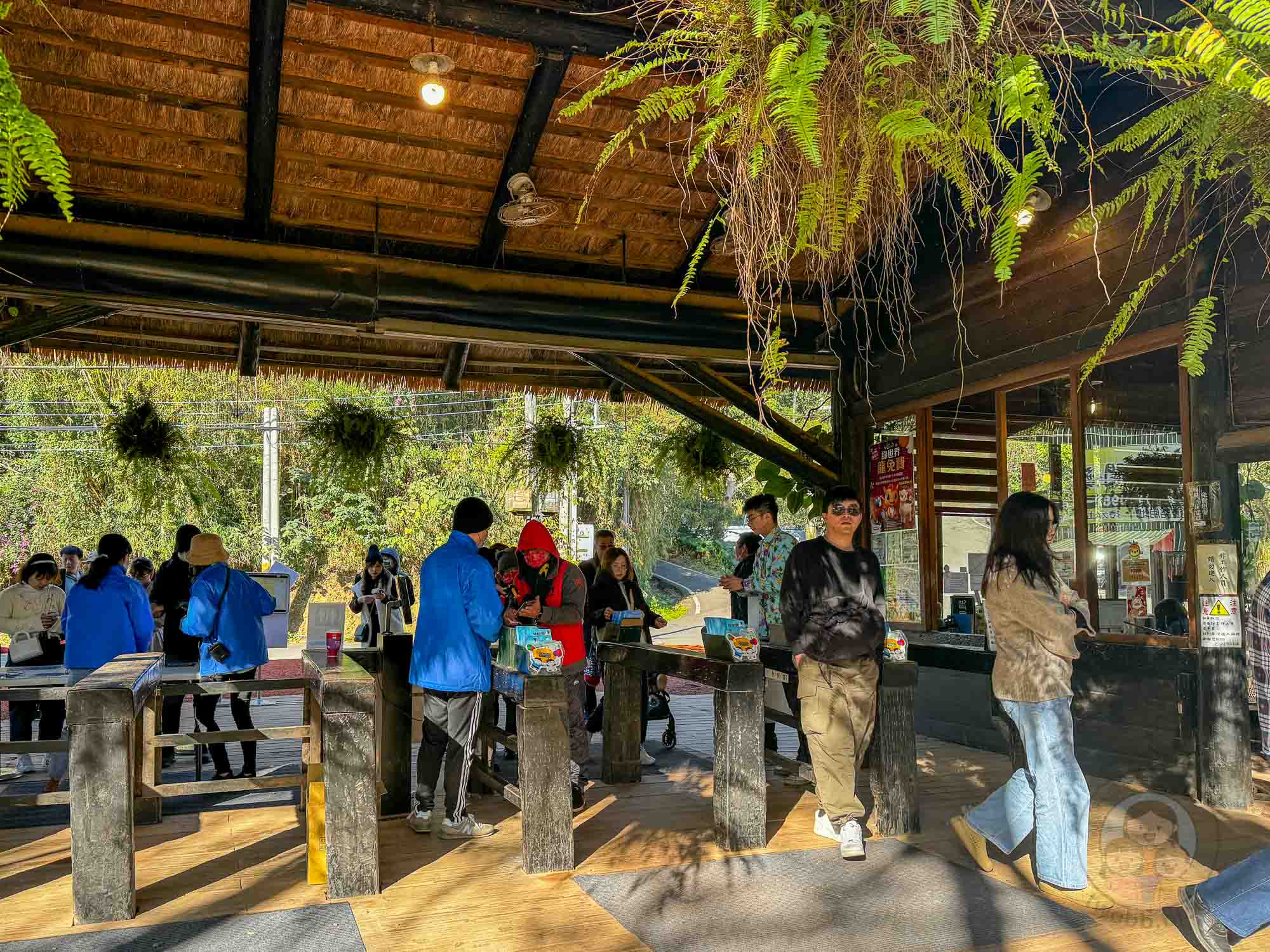 新竹｜綠世界生態農場 2025門票》亞洲最大的亞熱帶雨林生態園區、六大主題公園、草尼馬、可愛動物、落羽松夢幻步道。