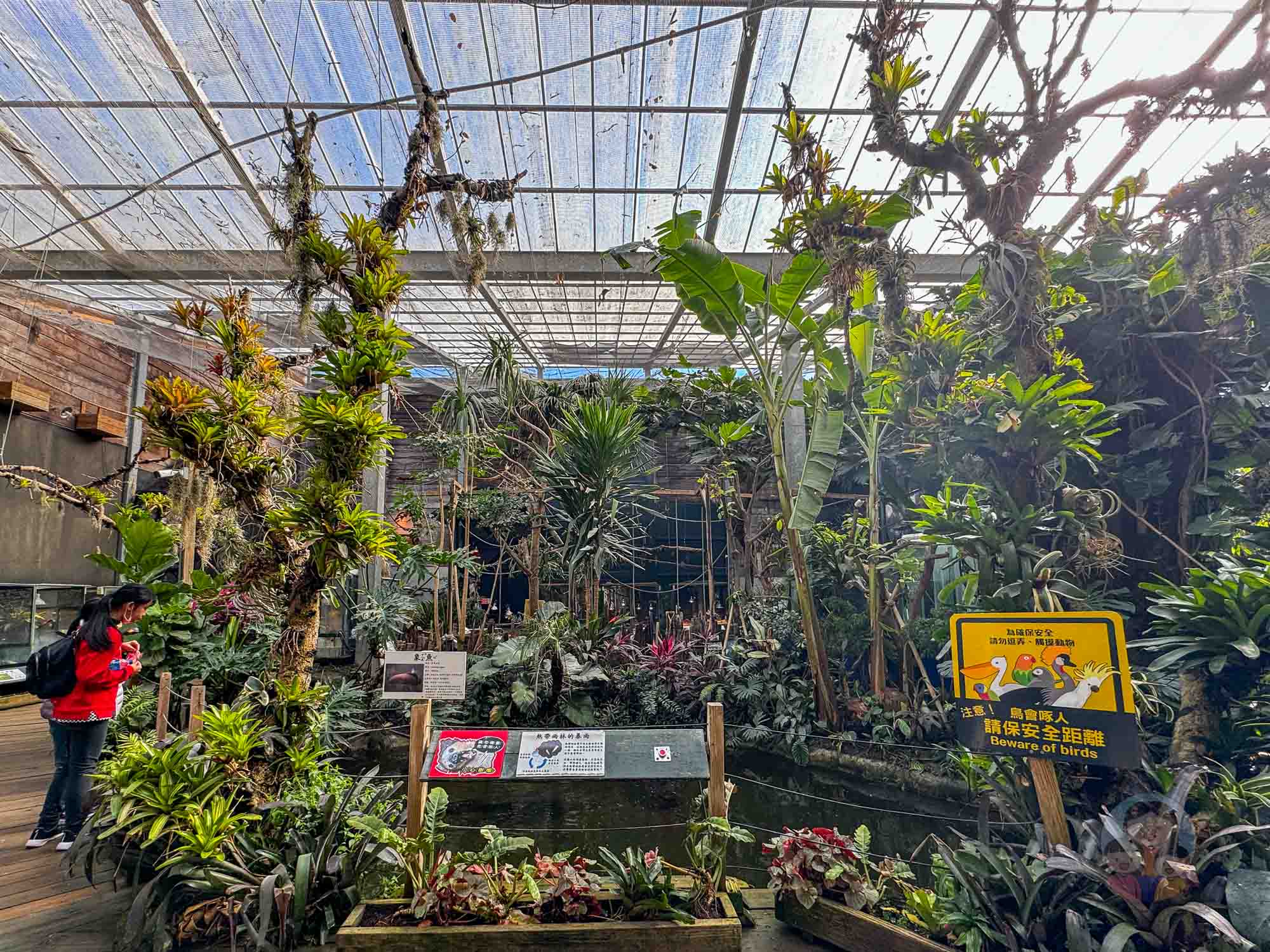 新竹｜綠世界生態農場 2025門票》亞洲最大的亞熱帶雨林生態園區、六大主題公園、草尼馬、可愛動物、落羽松夢幻步道。