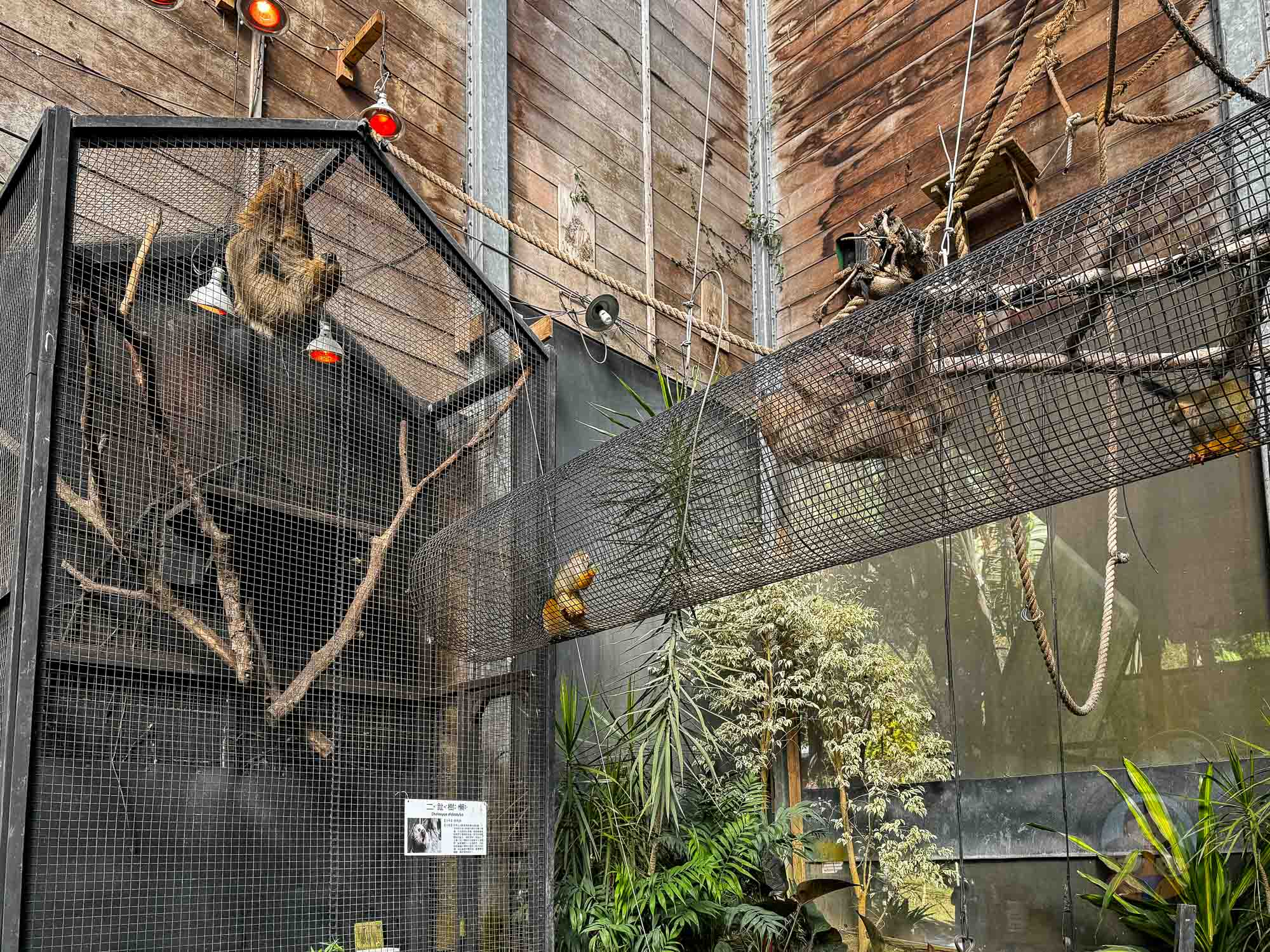 新竹｜綠世界生態農場 2025門票》亞洲最大的亞熱帶雨林生態園區、六大主題公園、草尼馬、可愛動物、落羽松夢幻步道。