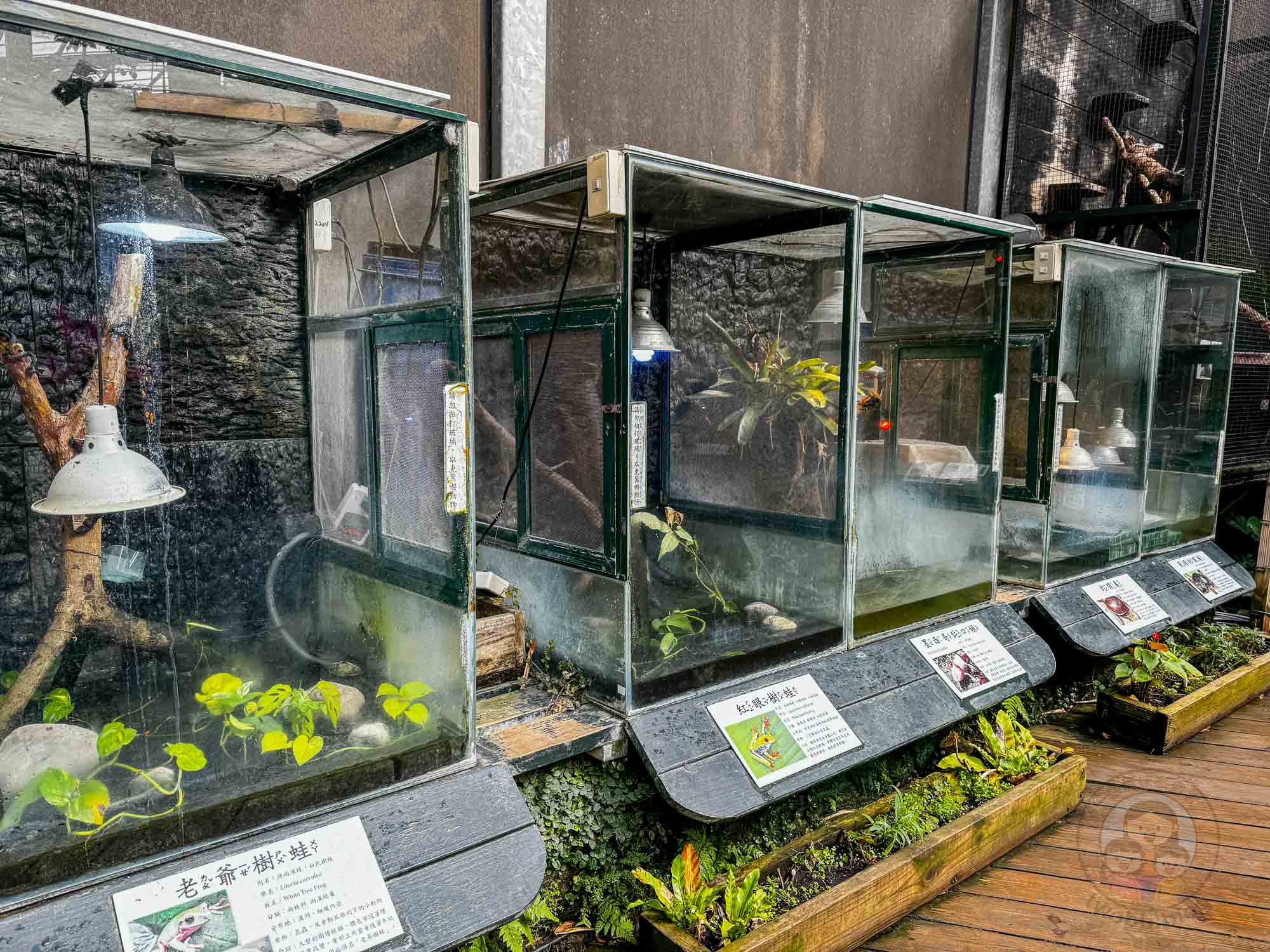 新竹｜綠世界生態農場 2025門票》亞洲最大的亞熱帶雨林生態園區、六大主題公園、草尼馬、可愛動物、落羽松夢幻步道。