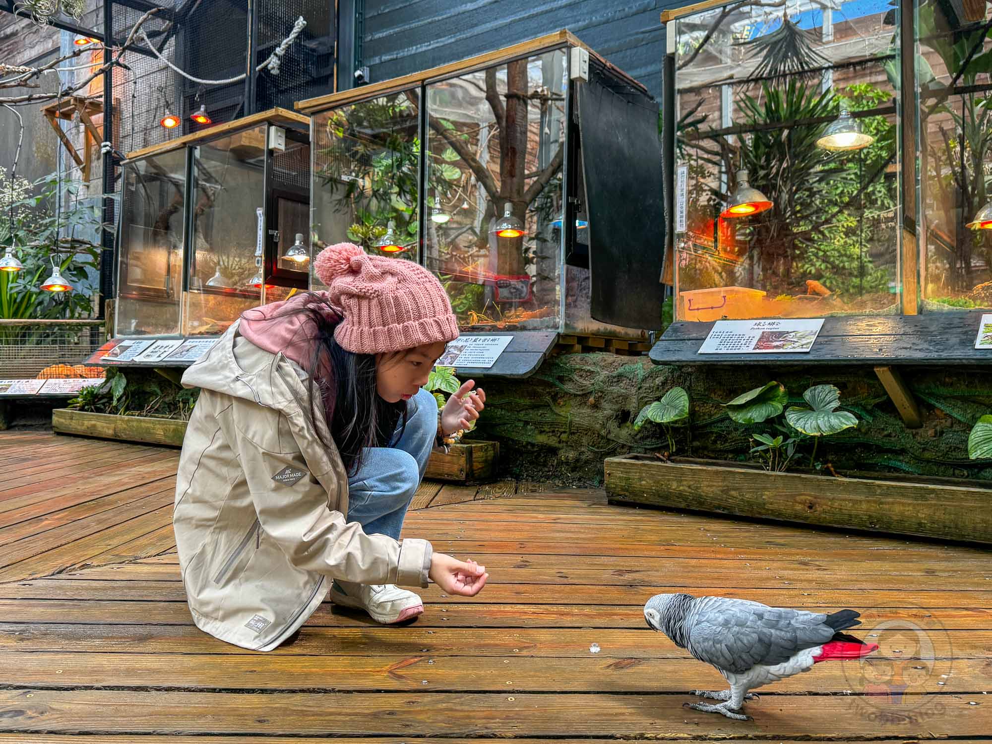 新竹｜綠世界生態農場 2025門票》亞洲最大的亞熱帶雨林生態園區、六大主題公園、草尼馬、可愛動物、落羽松夢幻步道。