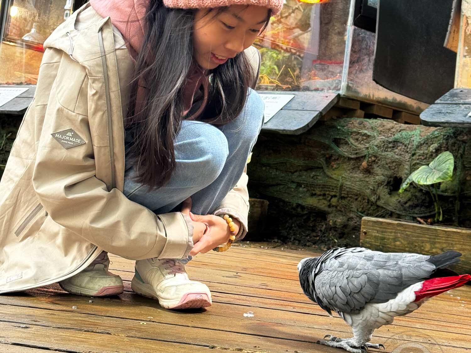 新竹｜綠世界生態農場 2025門票》亞洲最大的亞熱帶雨林生態園區、六大主題公園、草尼馬、可愛動物、落羽松夢幻步道。