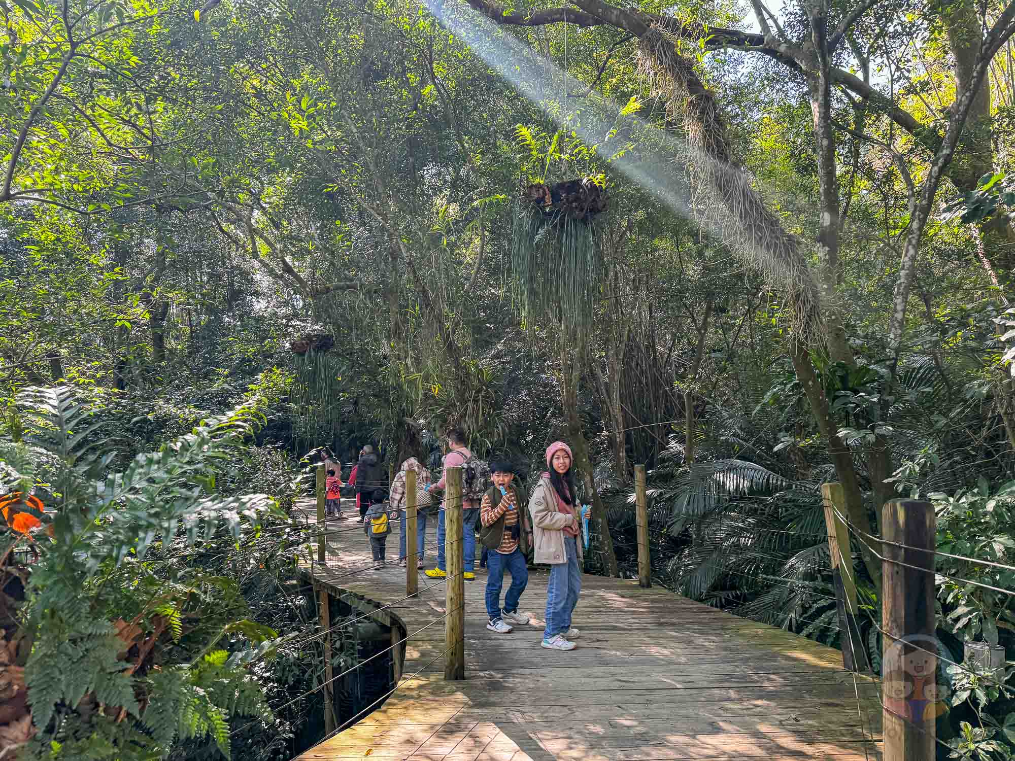 新竹｜綠世界生態農場 2025門票》亞洲最大的亞熱帶雨林生態園區、六大主題公園、草尼馬、可愛動物、落羽松夢幻步道。