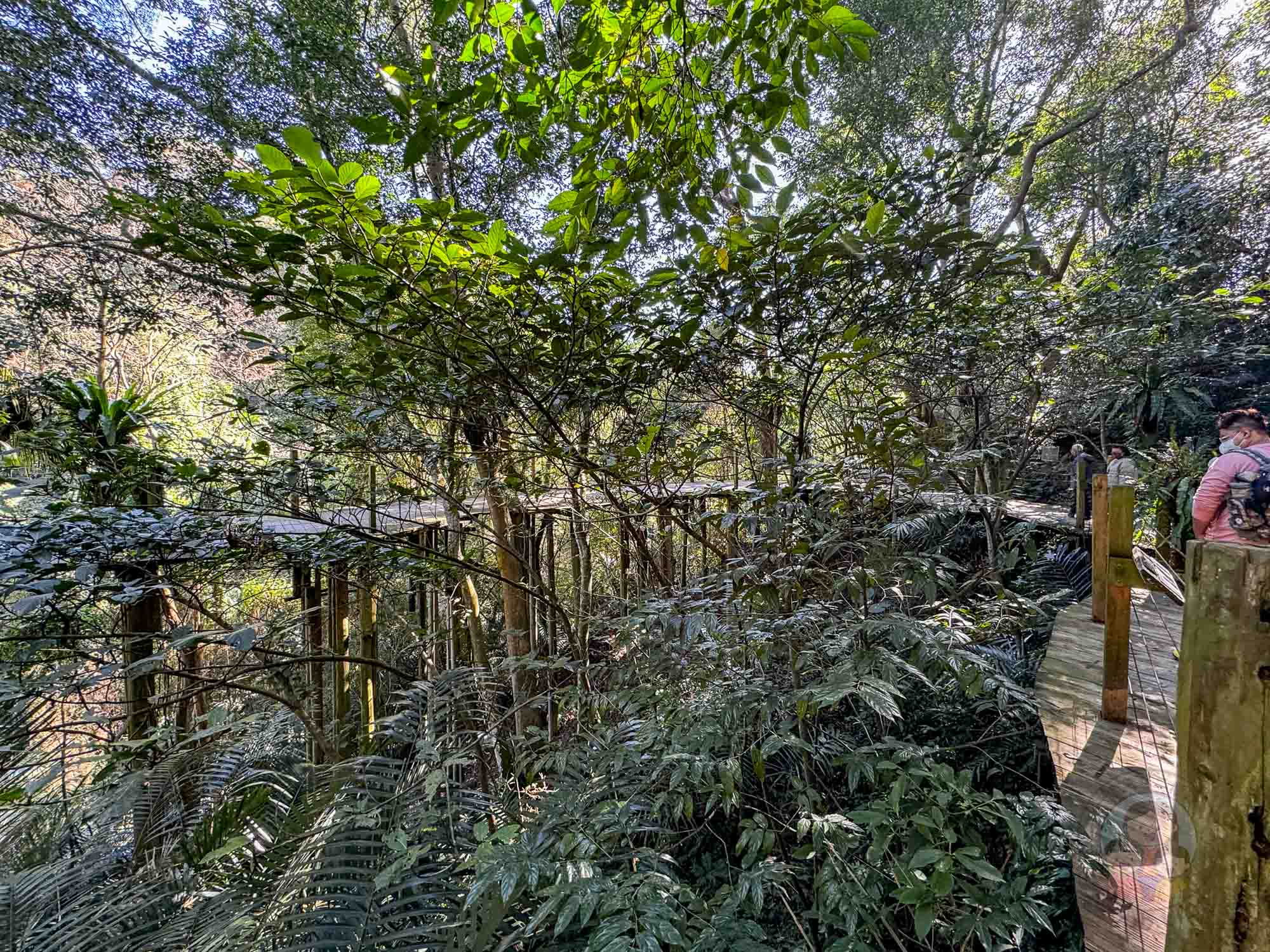 新竹｜綠世界生態農場 2025門票》亞洲最大的亞熱帶雨林生態園區、六大主題公園、草尼馬、可愛動物、落羽松夢幻步道。