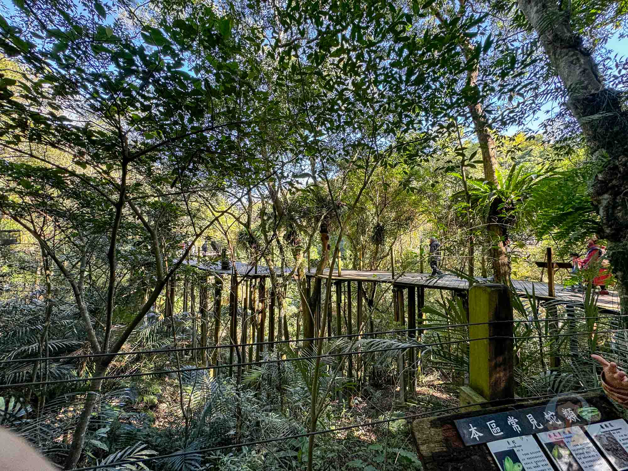 新竹｜綠世界生態農場 2025門票》亞洲最大的亞熱帶雨林生態園區、六大主題公園、草尼馬、可愛動物、落羽松夢幻步道。