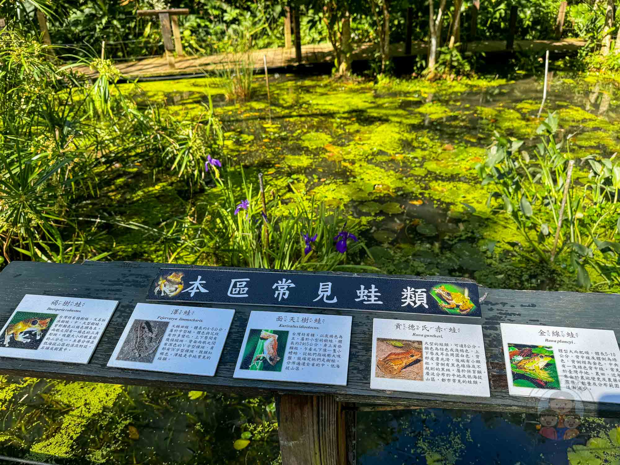 新竹｜綠世界生態農場 2025門票》亞洲最大的亞熱帶雨林生態園區、六大主題公園、草尼馬、可愛動物、落羽松夢幻步道。