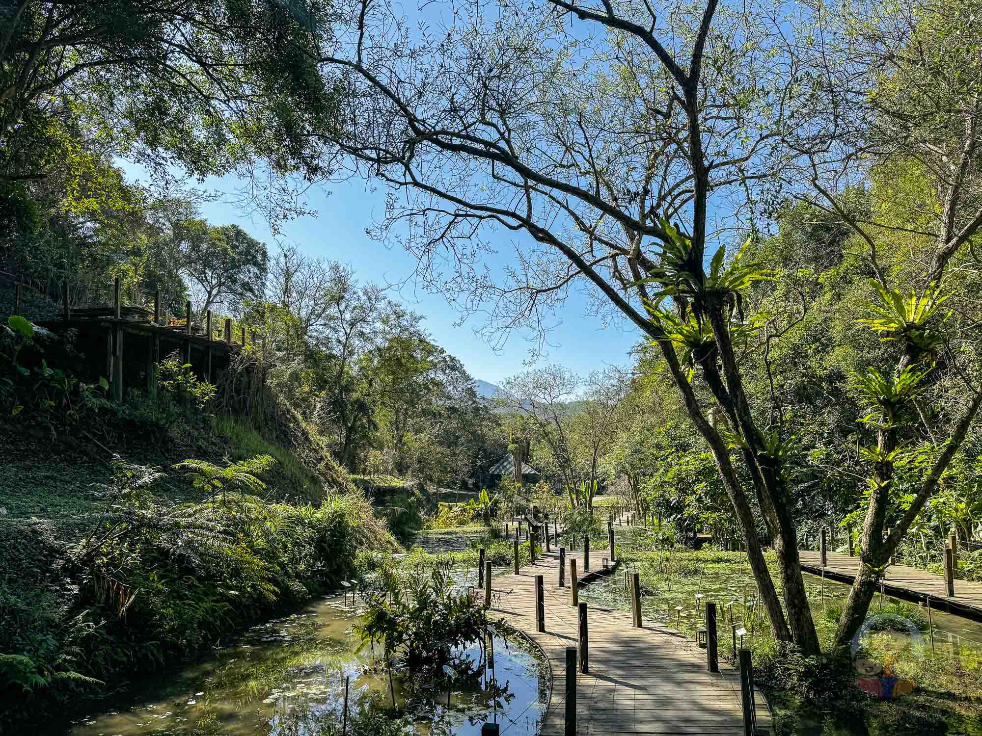 新竹｜綠世界生態農場 2025門票》亞洲最大的亞熱帶雨林生態園區、六大主題公園、草尼馬、可愛動物、落羽松夢幻步道。