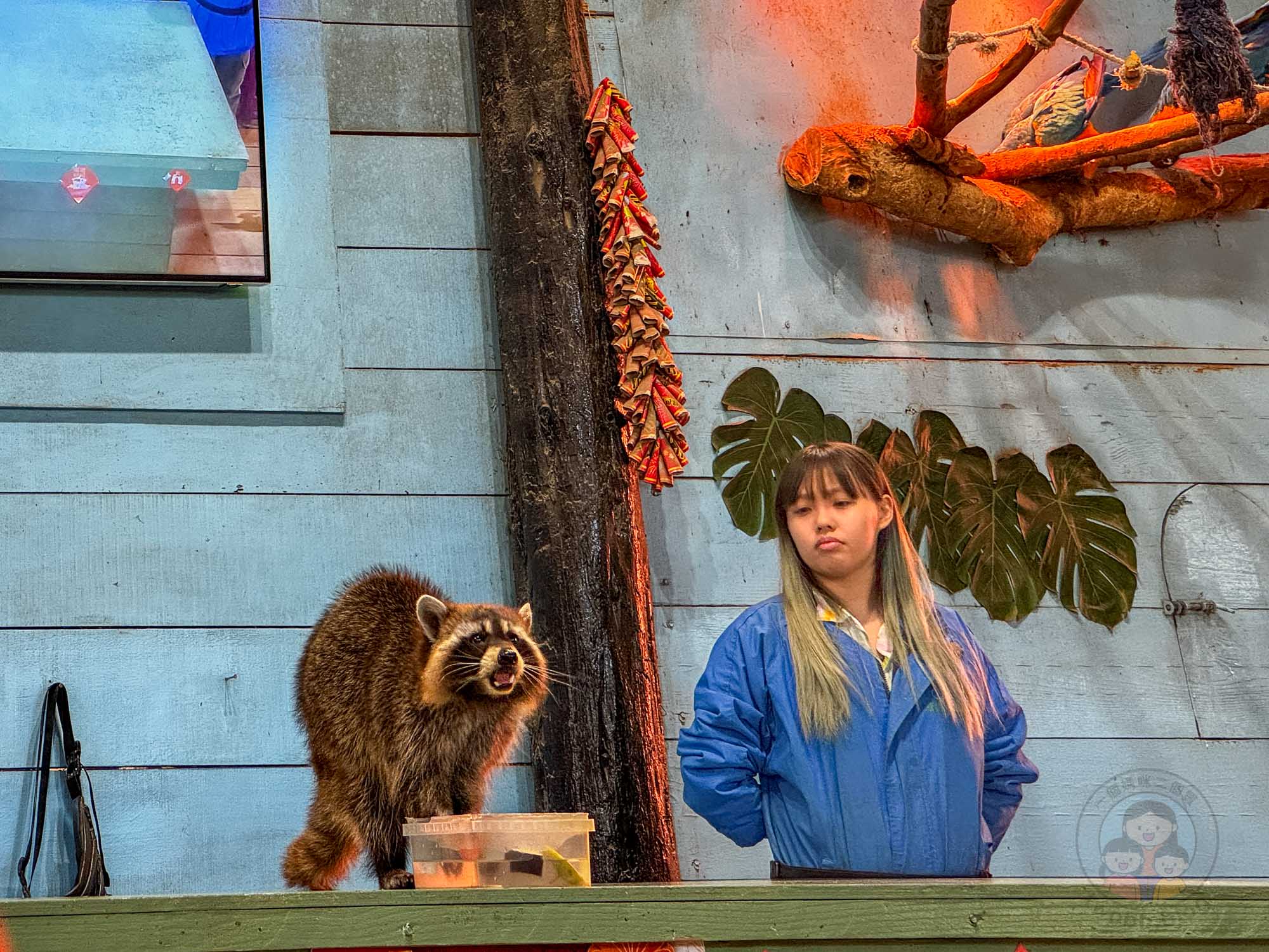 新竹｜綠世界生態農場 2025門票》亞洲最大的亞熱帶雨林生態園區、六大主題公園、草尼馬、可愛動物、落羽松夢幻步道。