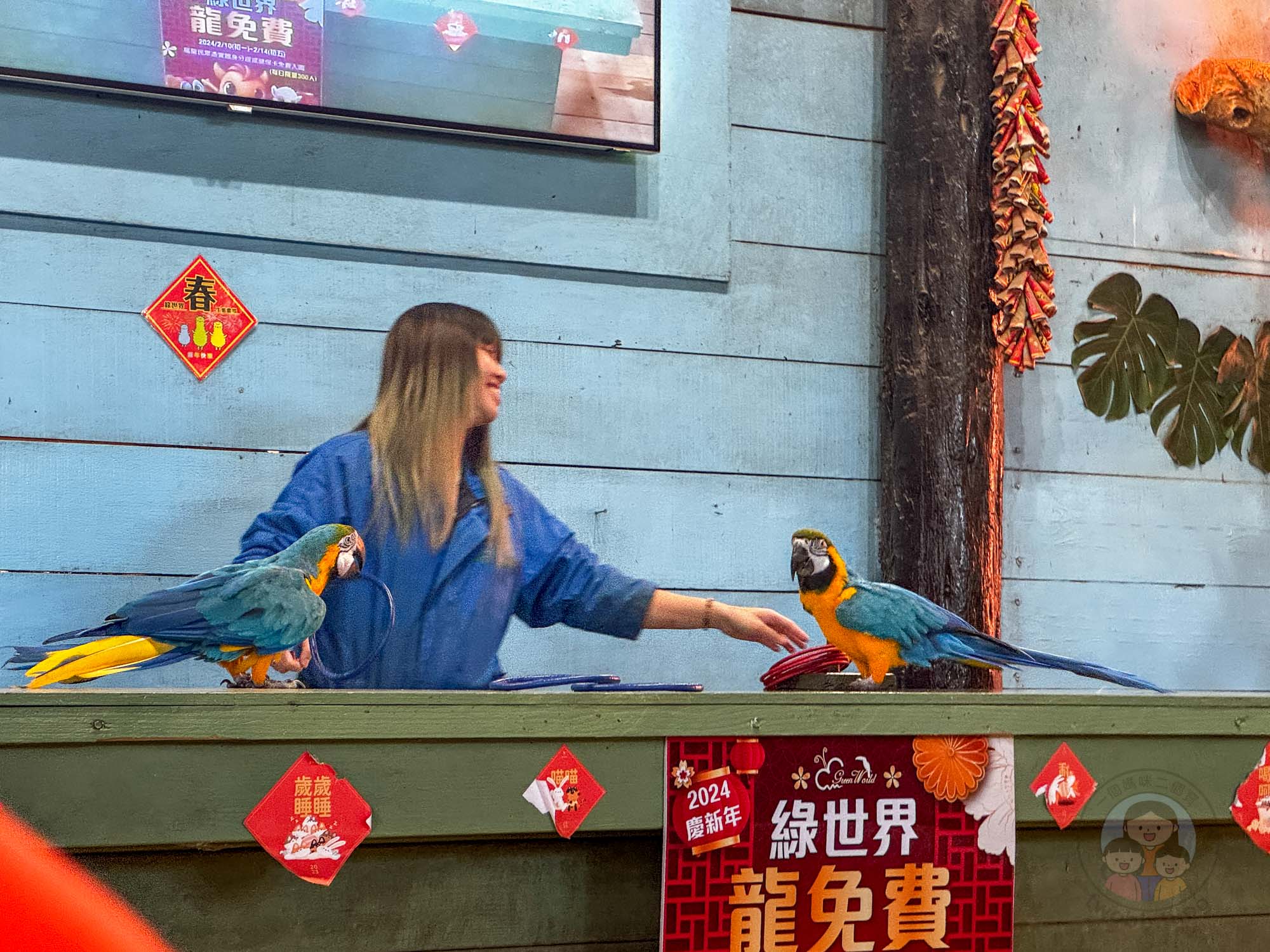 新竹｜綠世界生態農場 2025門票》亞洲最大的亞熱帶雨林生態園區、六大主題公園、草尼馬、可愛動物、落羽松夢幻步道。