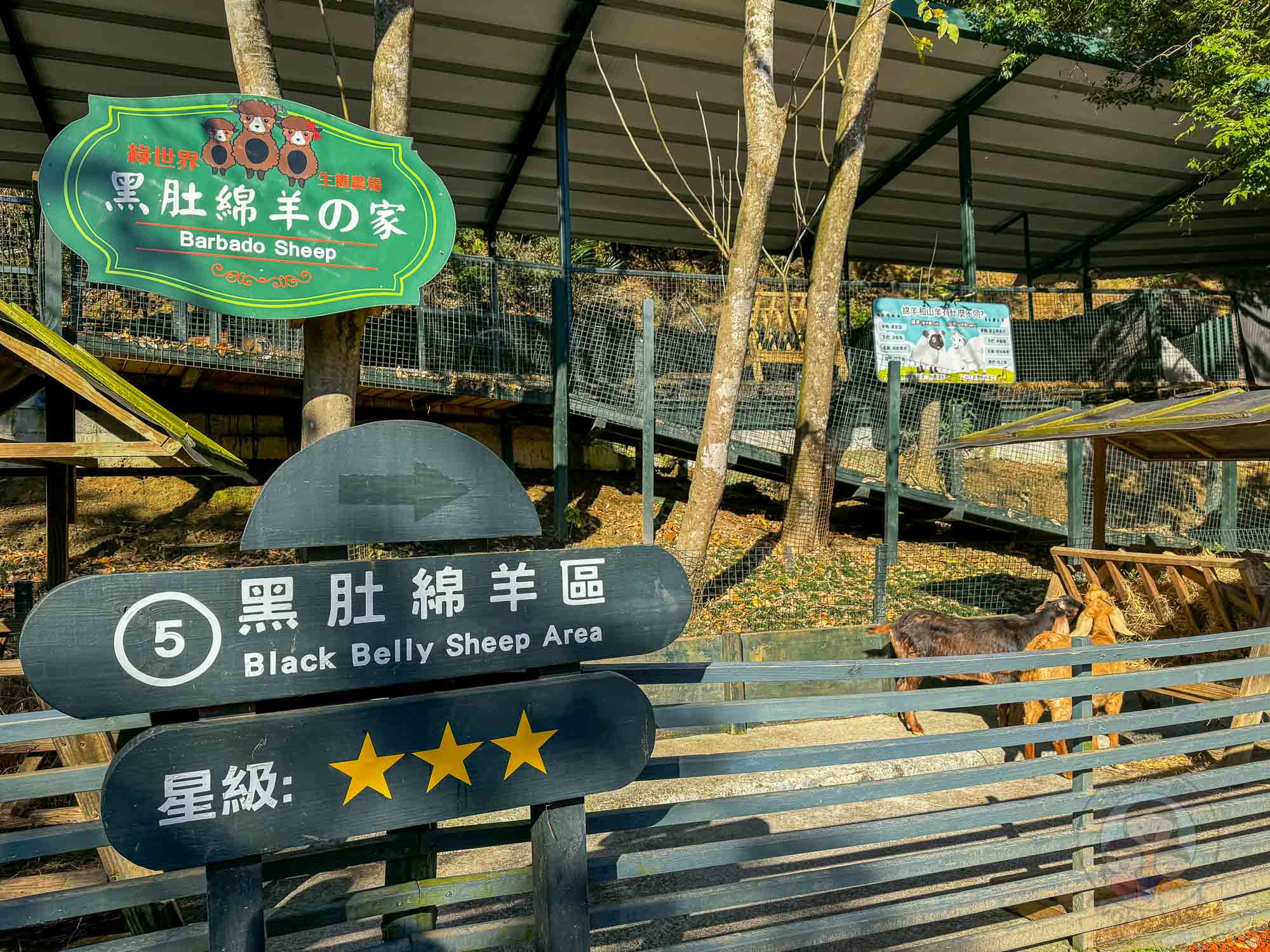 新竹｜綠世界生態農場 2025門票》亞洲最大的亞熱帶雨林生態園區、六大主題公園、草尼馬、可愛動物、落羽松夢幻步道。