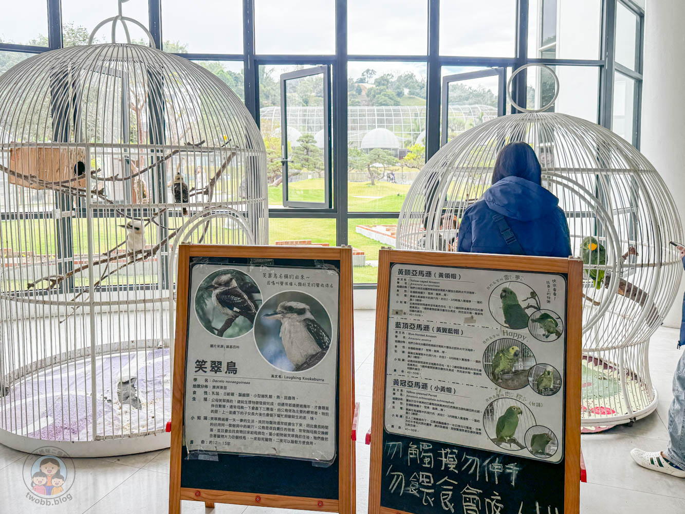 南投｜九九峰動物樂園》2026門票，中部唯一大型動物鳥禽樂園，可愛動物、鸚鵡零距離互動，還有恐龍火車。