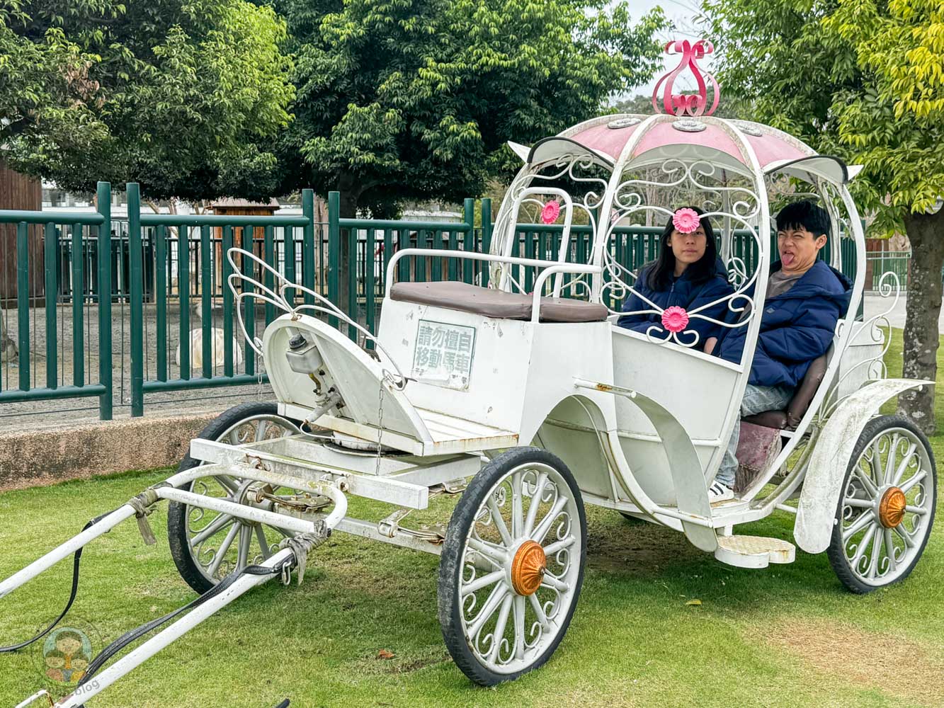 南投｜九九峰動物樂園》2026門票，中部唯一大型動物鳥禽樂園，可愛動物、鸚鵡零距離互動，還有恐龍火車。