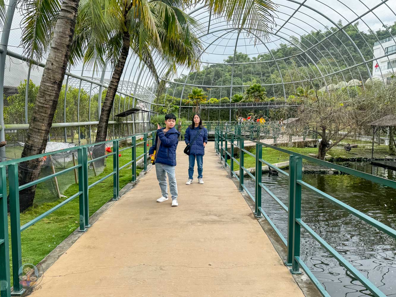 南投｜九九峰動物樂園》2026門票，中部唯一大型動物鳥禽樂園，可愛動物、鸚鵡零距離互動，還有恐龍火車。