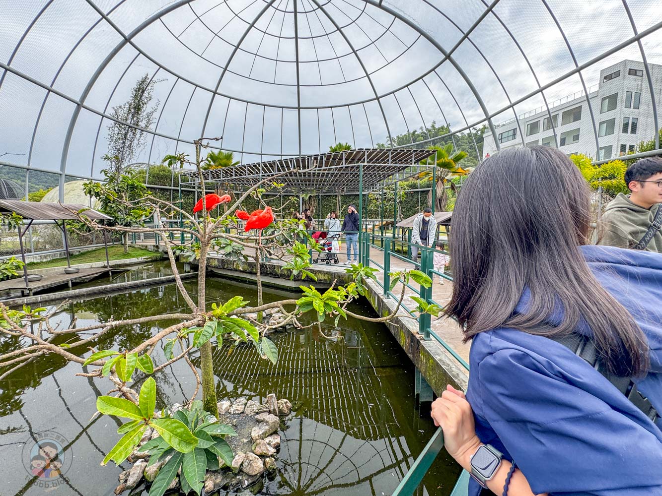 南投｜九九峰動物樂園》2026門票，中部唯一大型動物鳥禽樂園，可愛動物、鸚鵡零距離互動，還有恐龍火車。