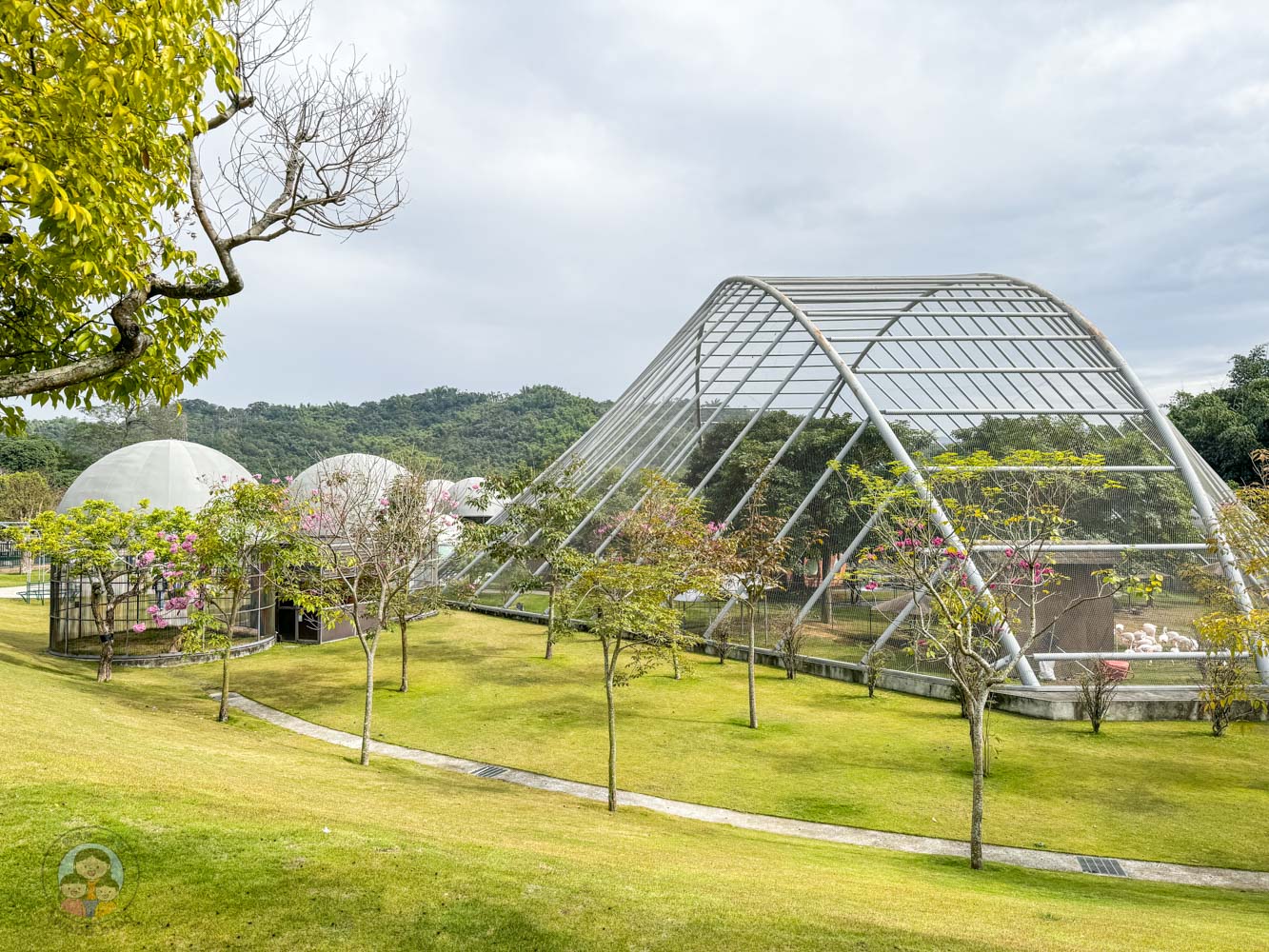 南投｜九九峰動物樂園》2026門票，中部唯一大型動物鳥禽樂園，可愛動物、鸚鵡零距離互動，還有恐龍火車。
