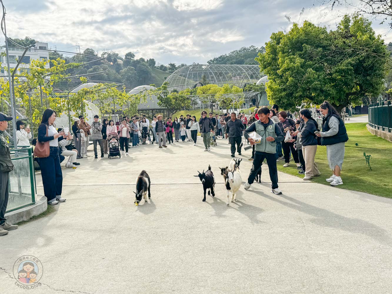 南投｜九九峰動物樂園》2026門票，中部唯一大型動物鳥禽樂園，可愛動物、鸚鵡零距離互動，還有恐龍火車。