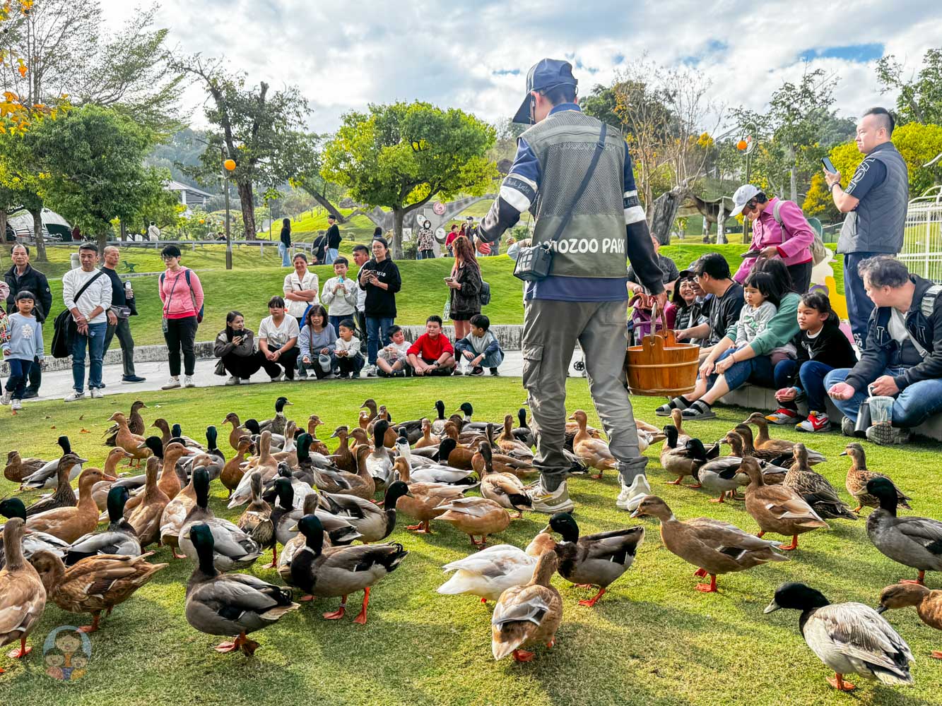 南投｜九九峰動物樂園》2026門票，中部唯一大型動物鳥禽樂園，可愛動物、鸚鵡零距離互動，還有恐龍火車。