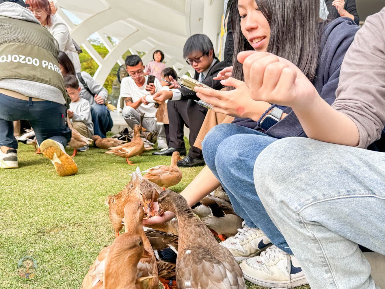南投｜九九峰動物樂園》2026門票，中部唯一大型動物鳥禽樂園，可愛動物、鸚鵡零距離互動，還有恐龍火車。